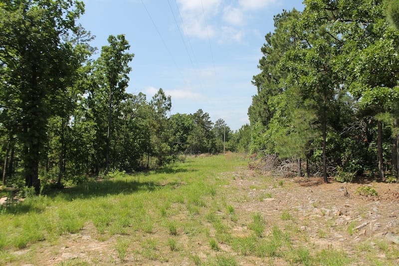Indian Ridge – Phase II Tract 25 photo 7