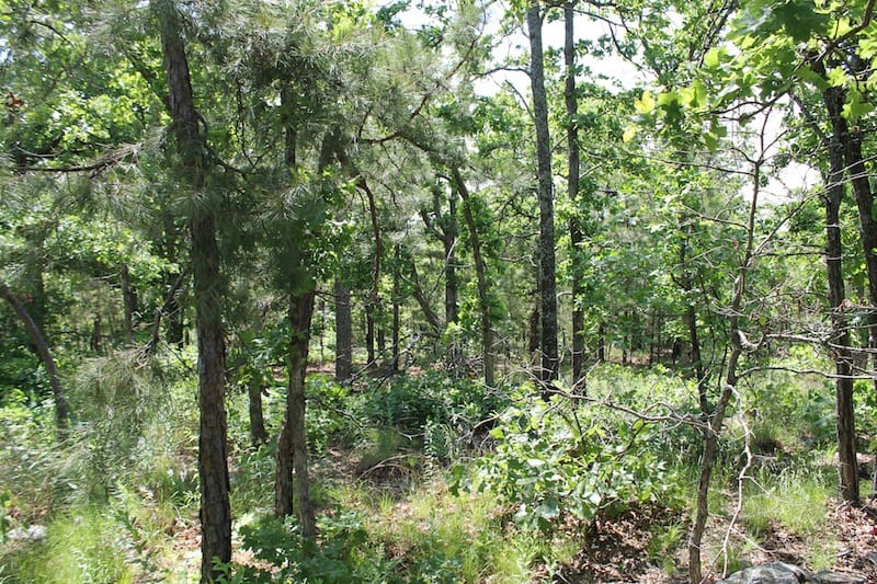 Indian Ridge – Phase II Tract 25 photo 9