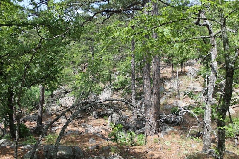 Indian Ridge – Phase II Tract 25 photo 11