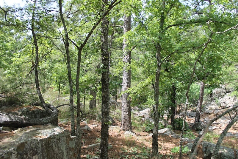 Indian Ridge – Phase II Tract 25 photo 12