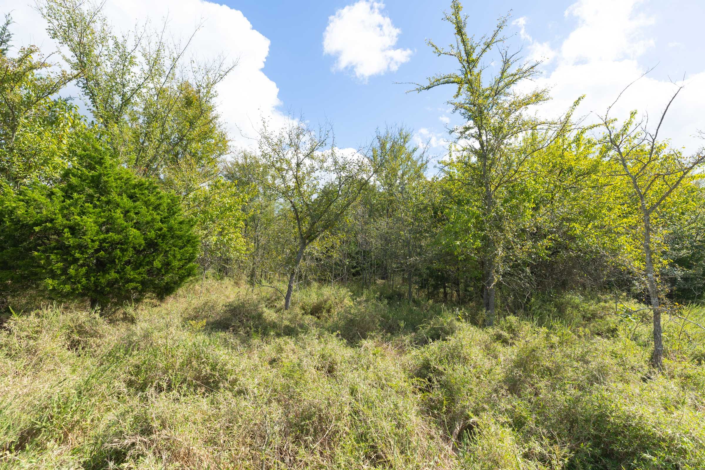 Reserves At Cattail Cove Phase II Tract 91 photo 11
