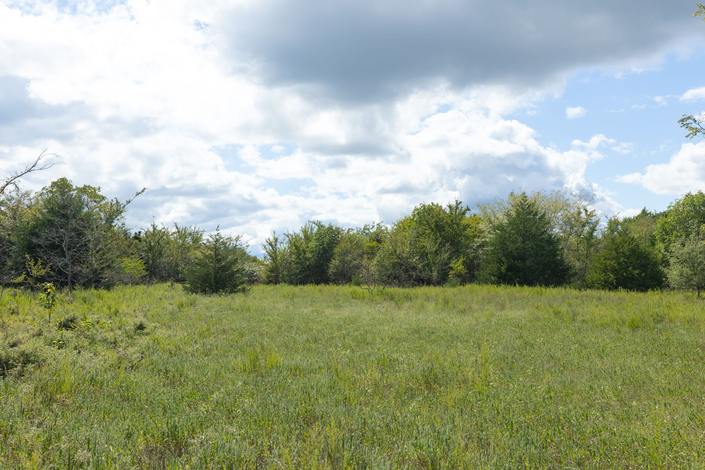 Reserves At Cattail Cove Phase II Tract 91 photo 10
