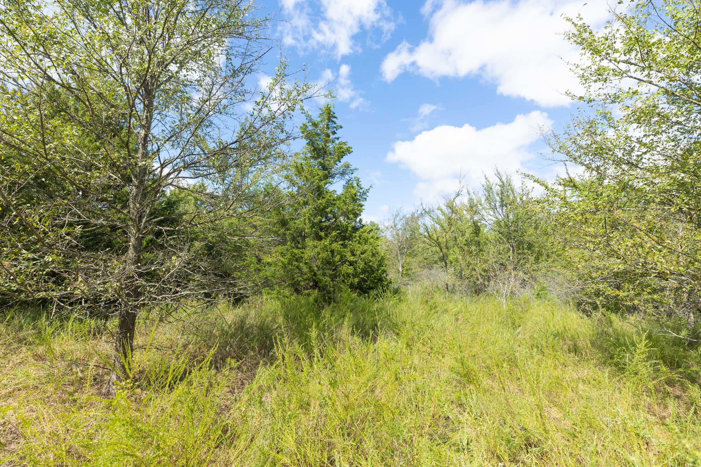 Reserves At Cattail Cove Phase II Tract 91 photo 9