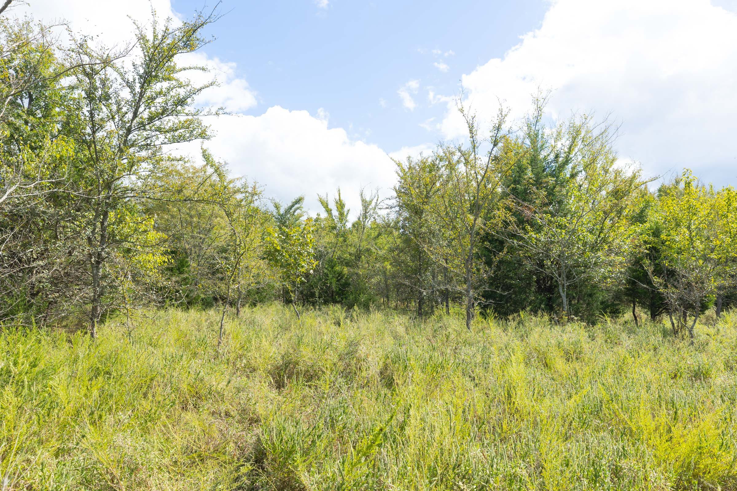 Reserves At Cattail Cove Phase II Tract 91 photo 8