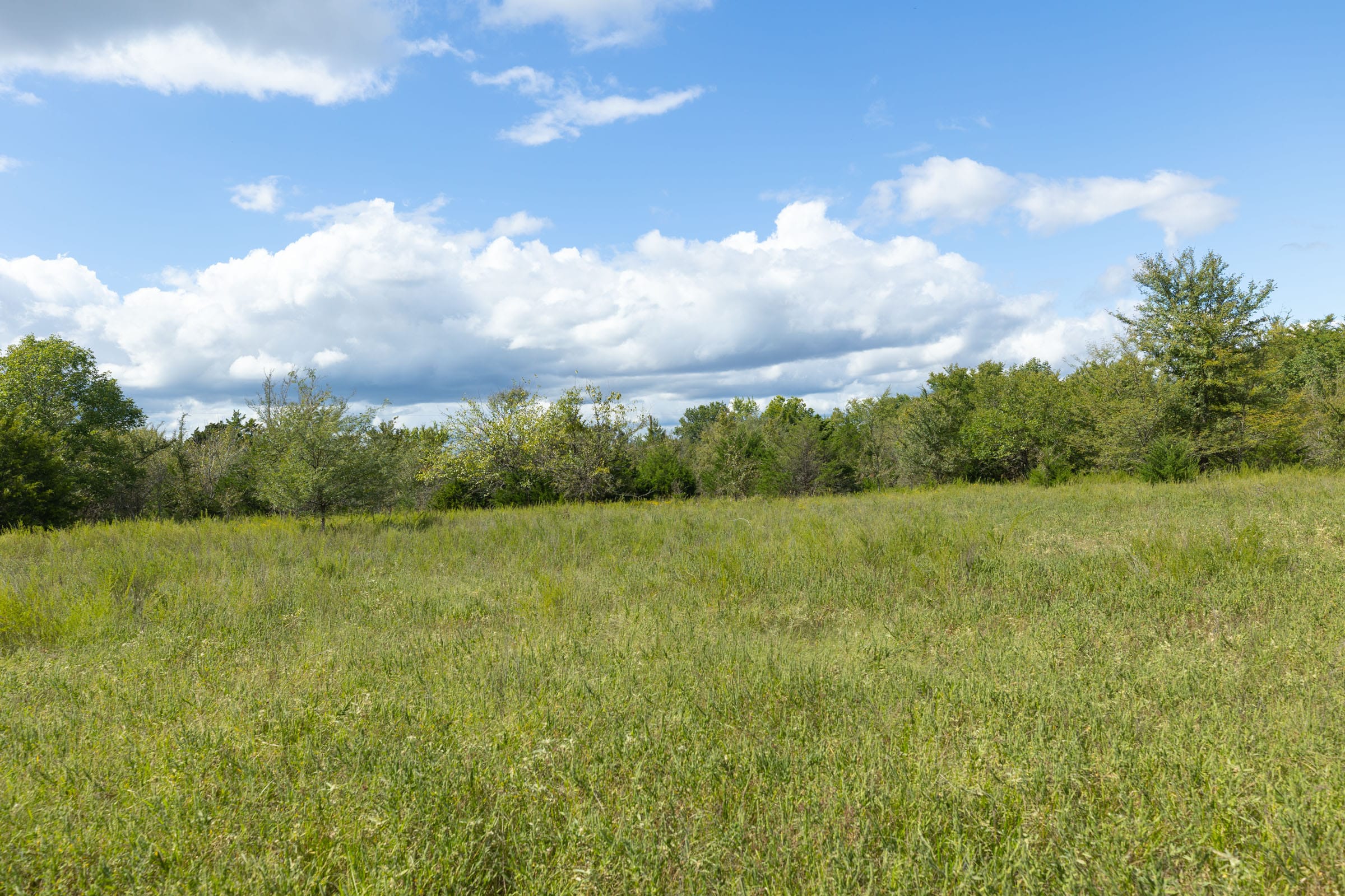 Reserves At Cattail Cove Phase II Tract 91 photo 4