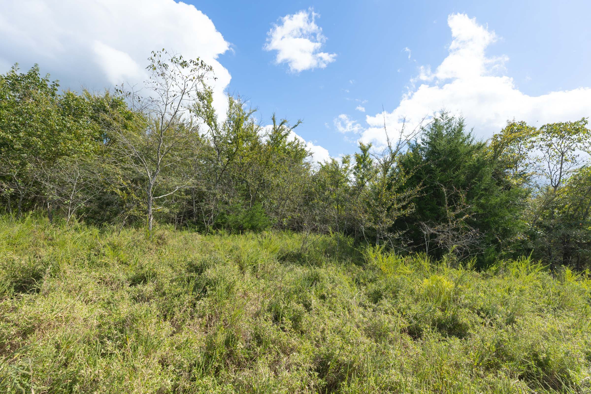 Reserves At Cattail Cove Phase II Tract 91 photo 7