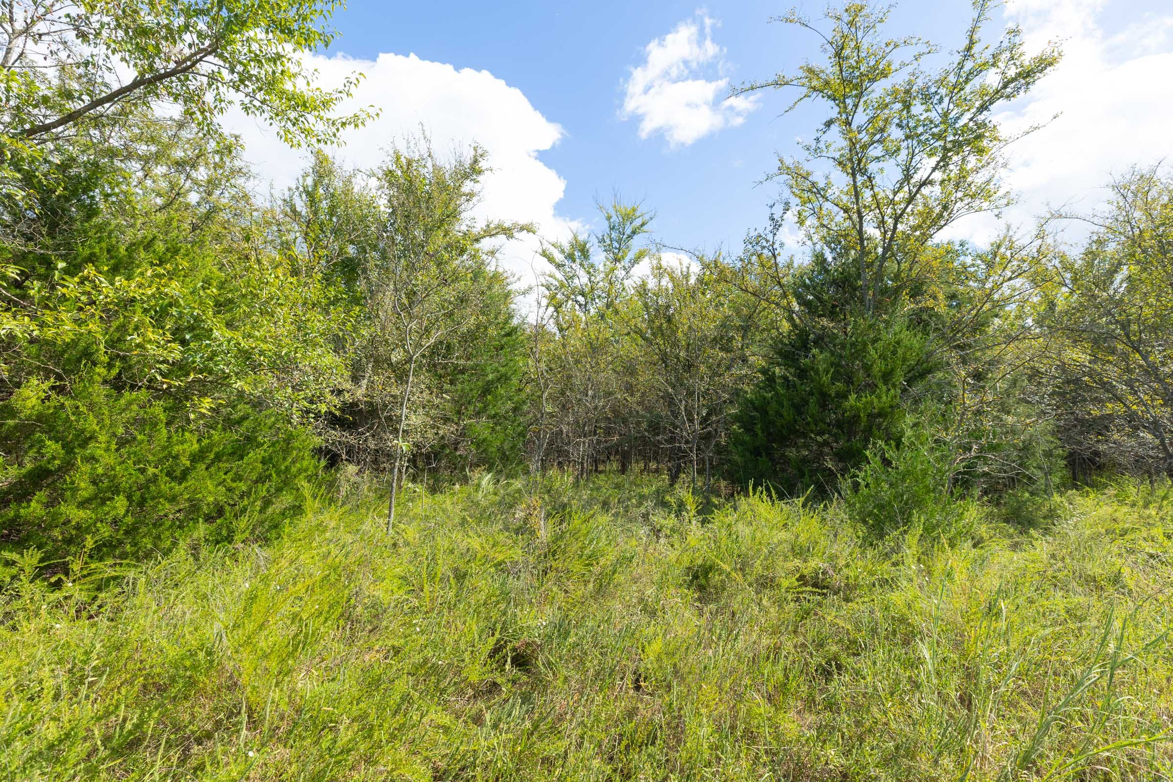 Reserves At Cattail Cove Phase II Tract 91 photo 6