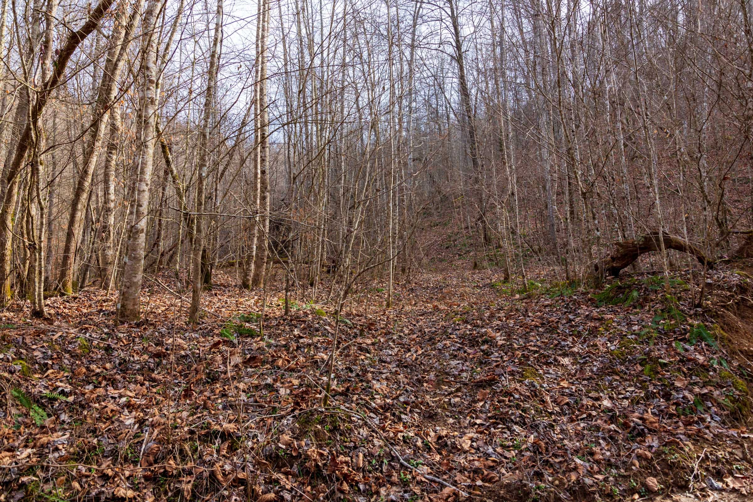 Blackstone Mountain Phase II Tract 58 photo 2