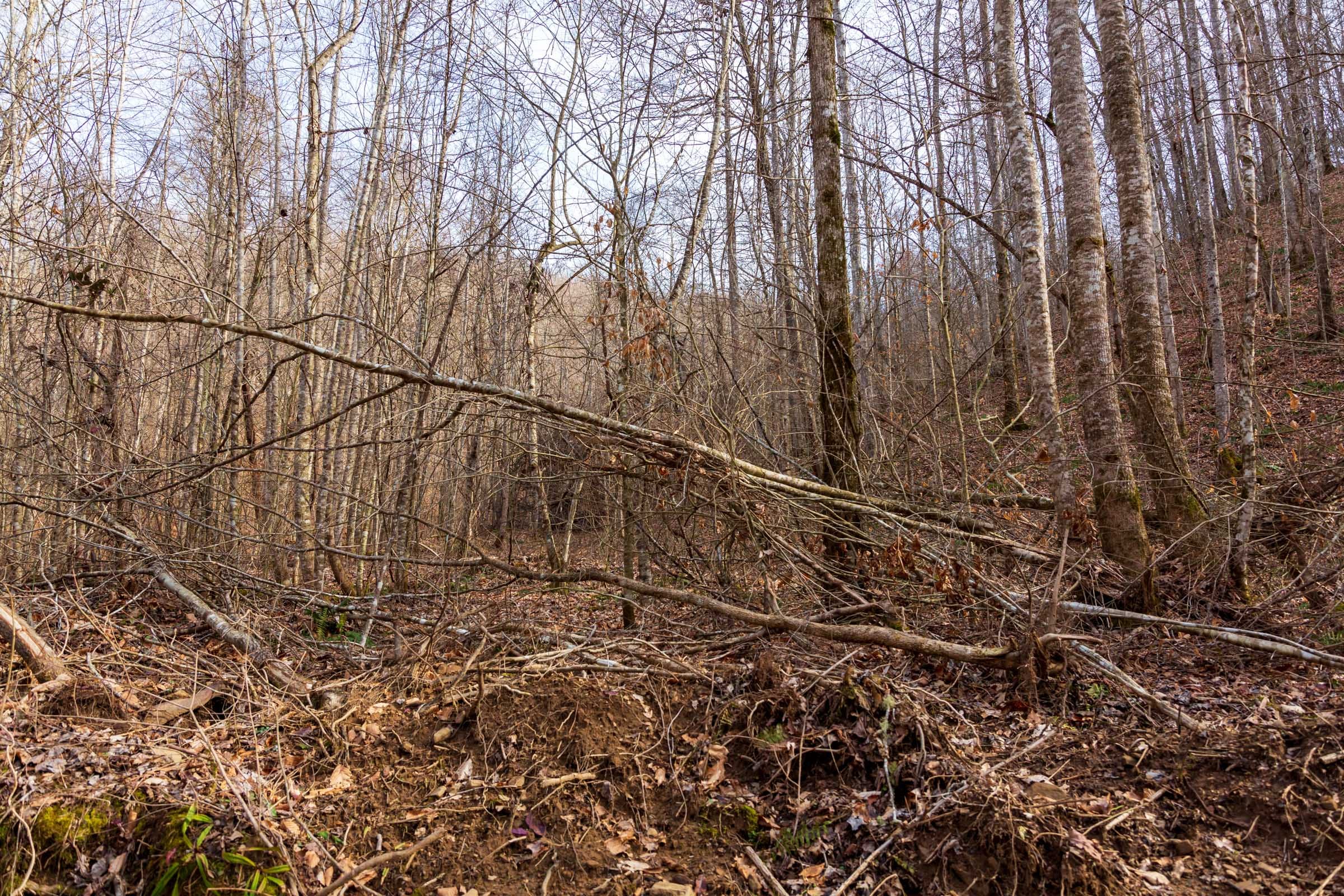 Blackstone Mountain Phase II Tract 58 photo 3