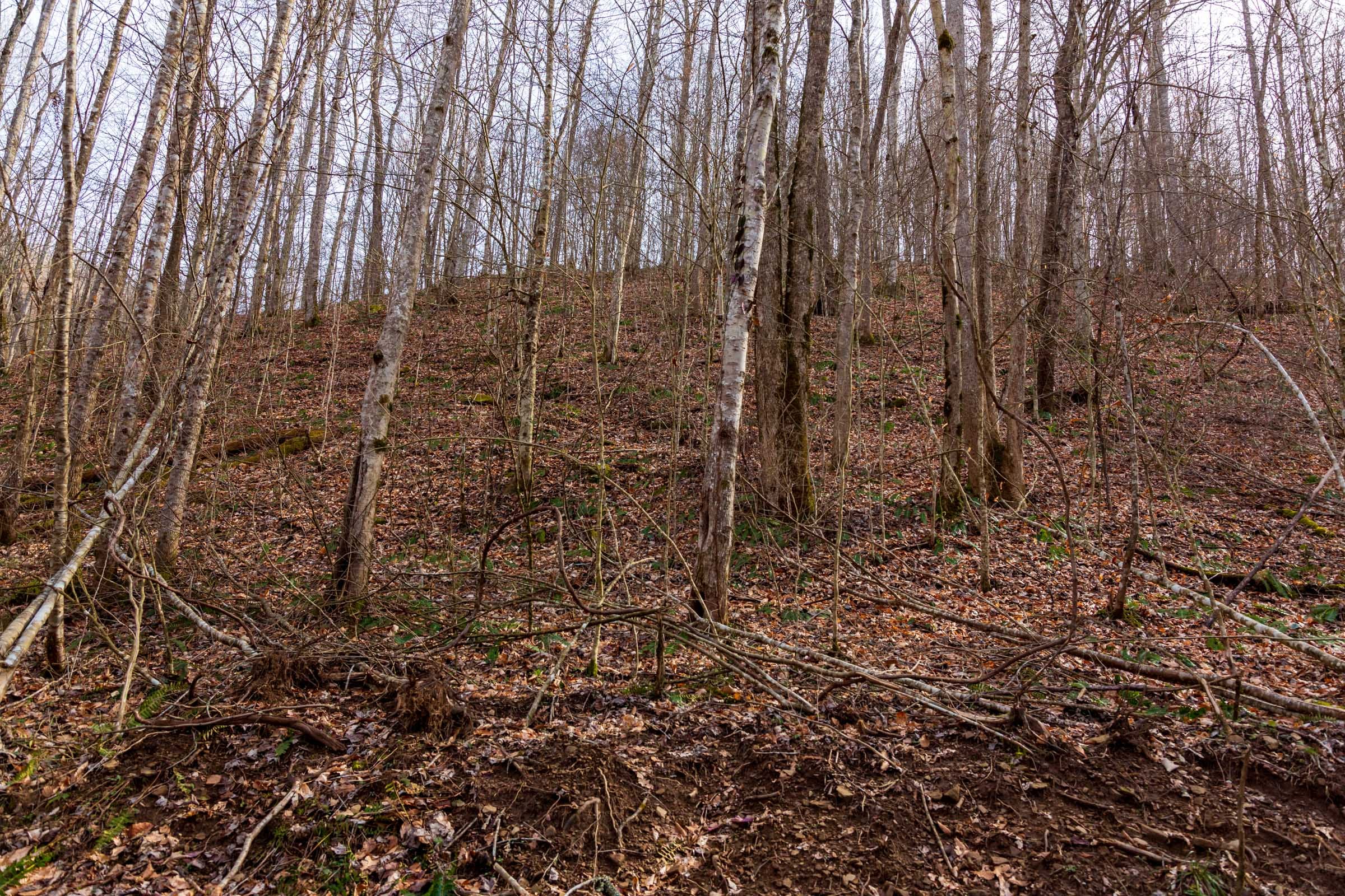 Blackstone Mountain Phase II Tract 58 photo 4