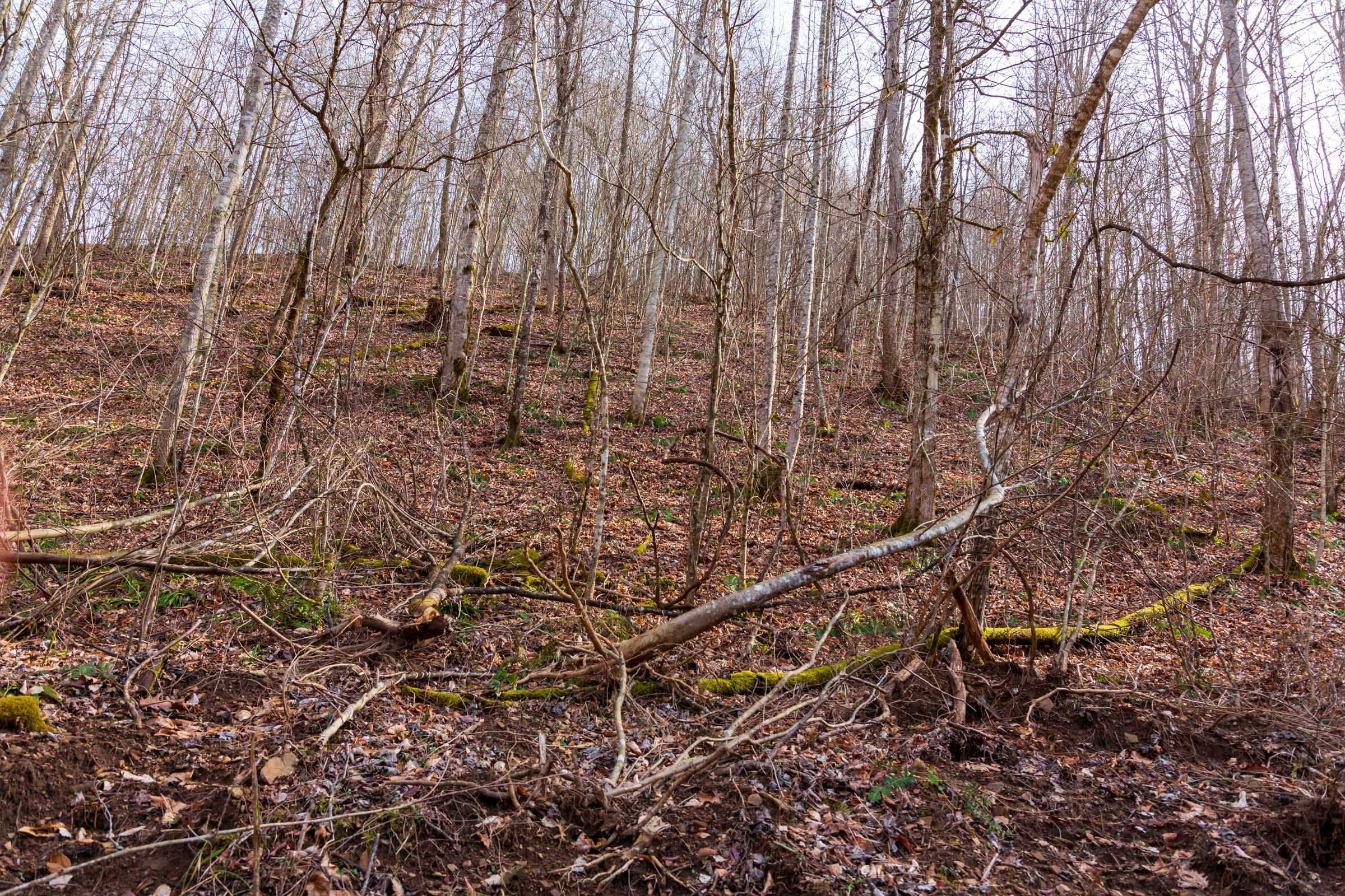 Blackstone Mountain Phase II Tract 58 photo 7