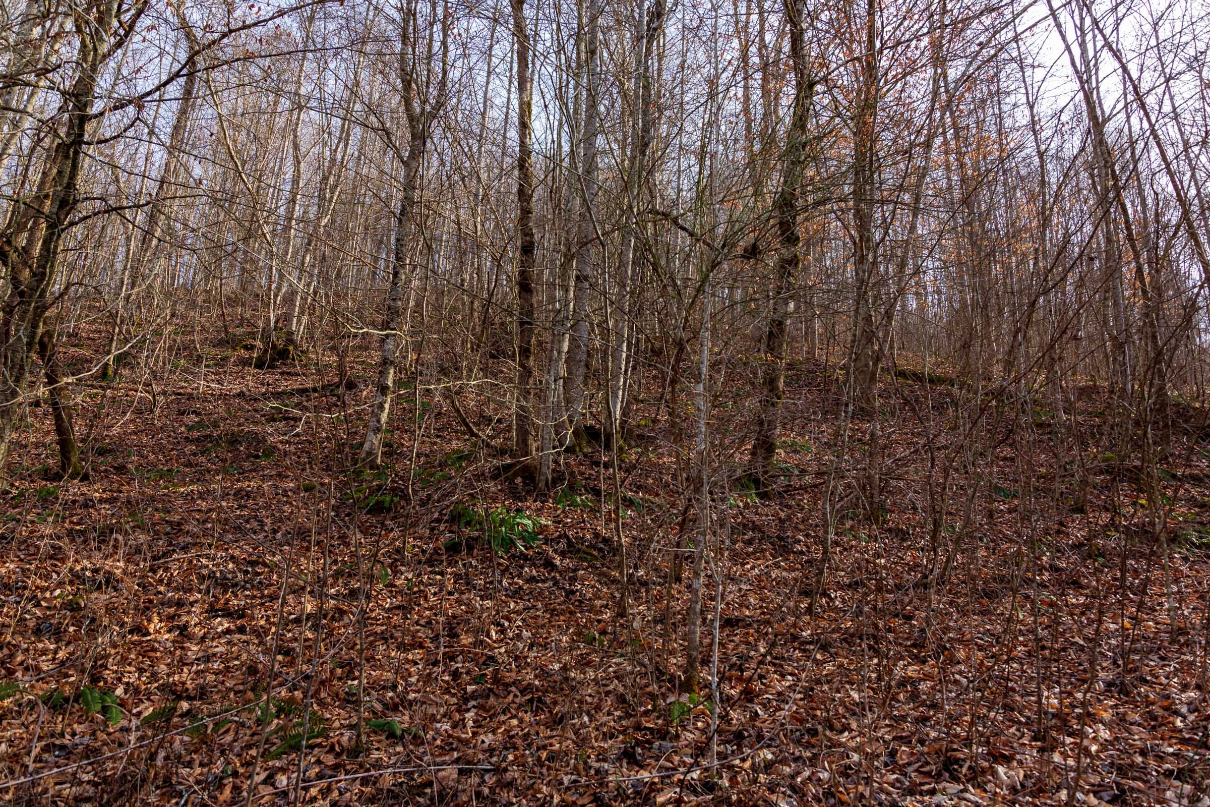 Blackstone Mountain Phase II Tract 58 photo 8
