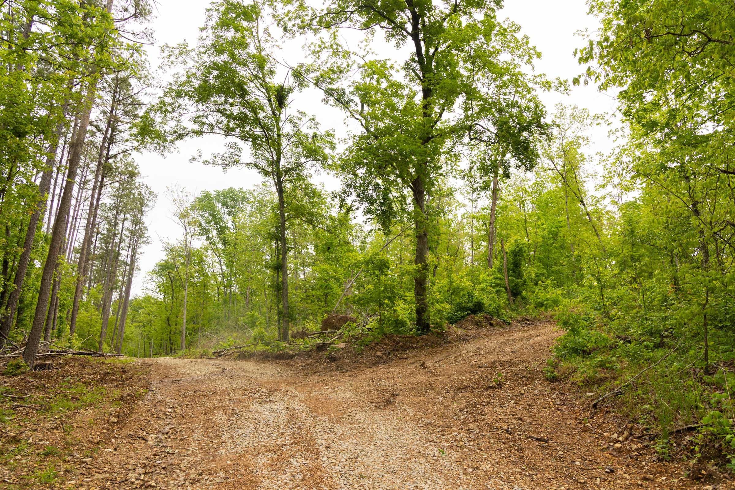 Stardust Estates Tract 2 photo 6