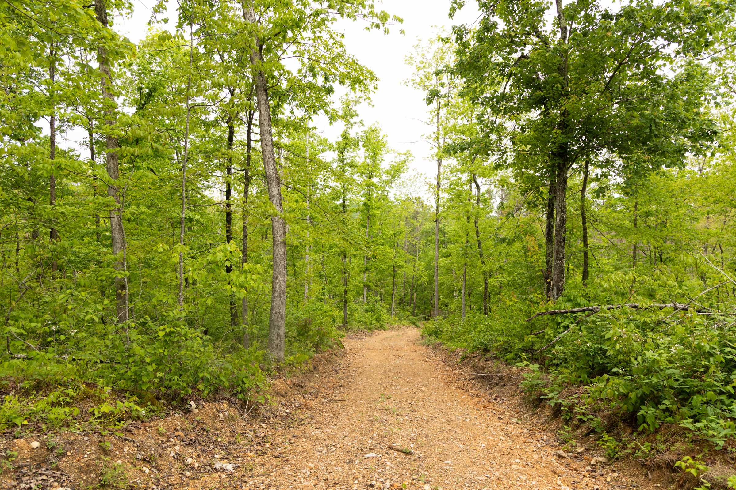 Stardust Estates Tract 2 photo 14