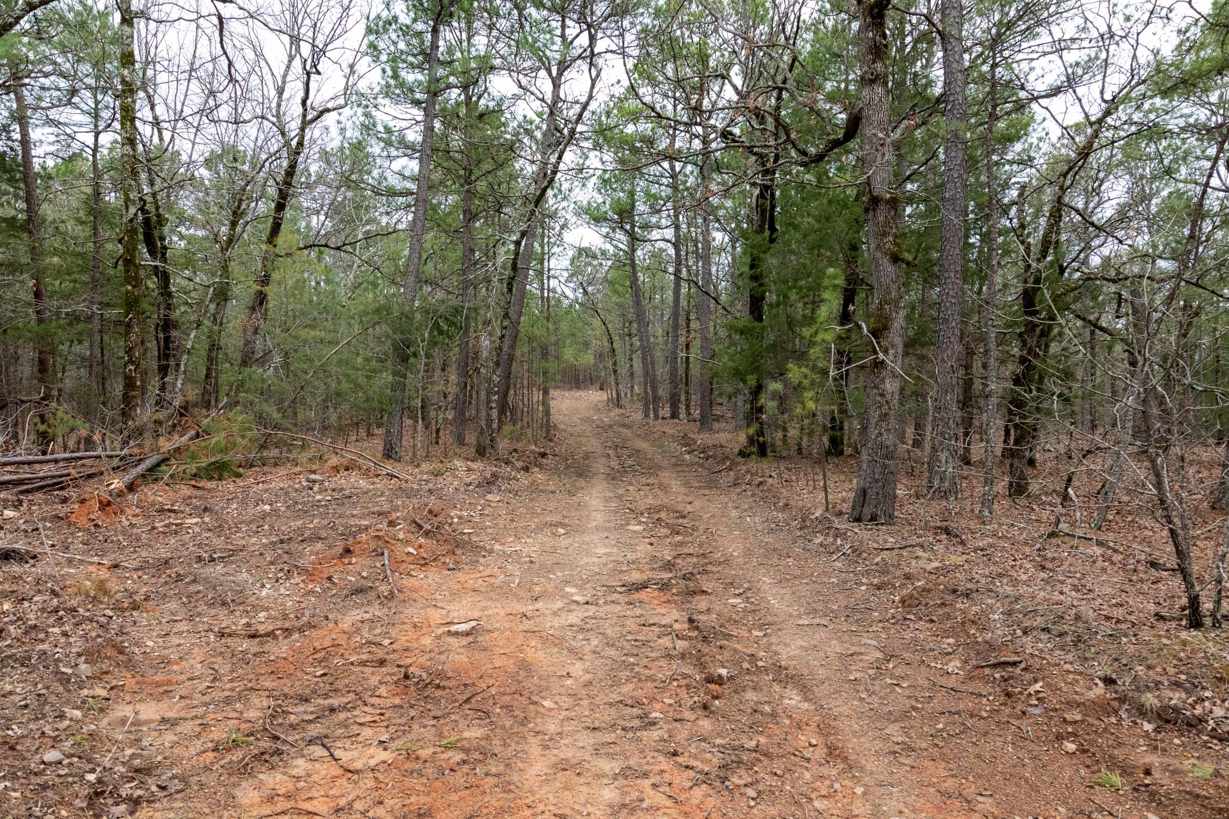 Stone Bridge Phase III Tract 207 photo 1