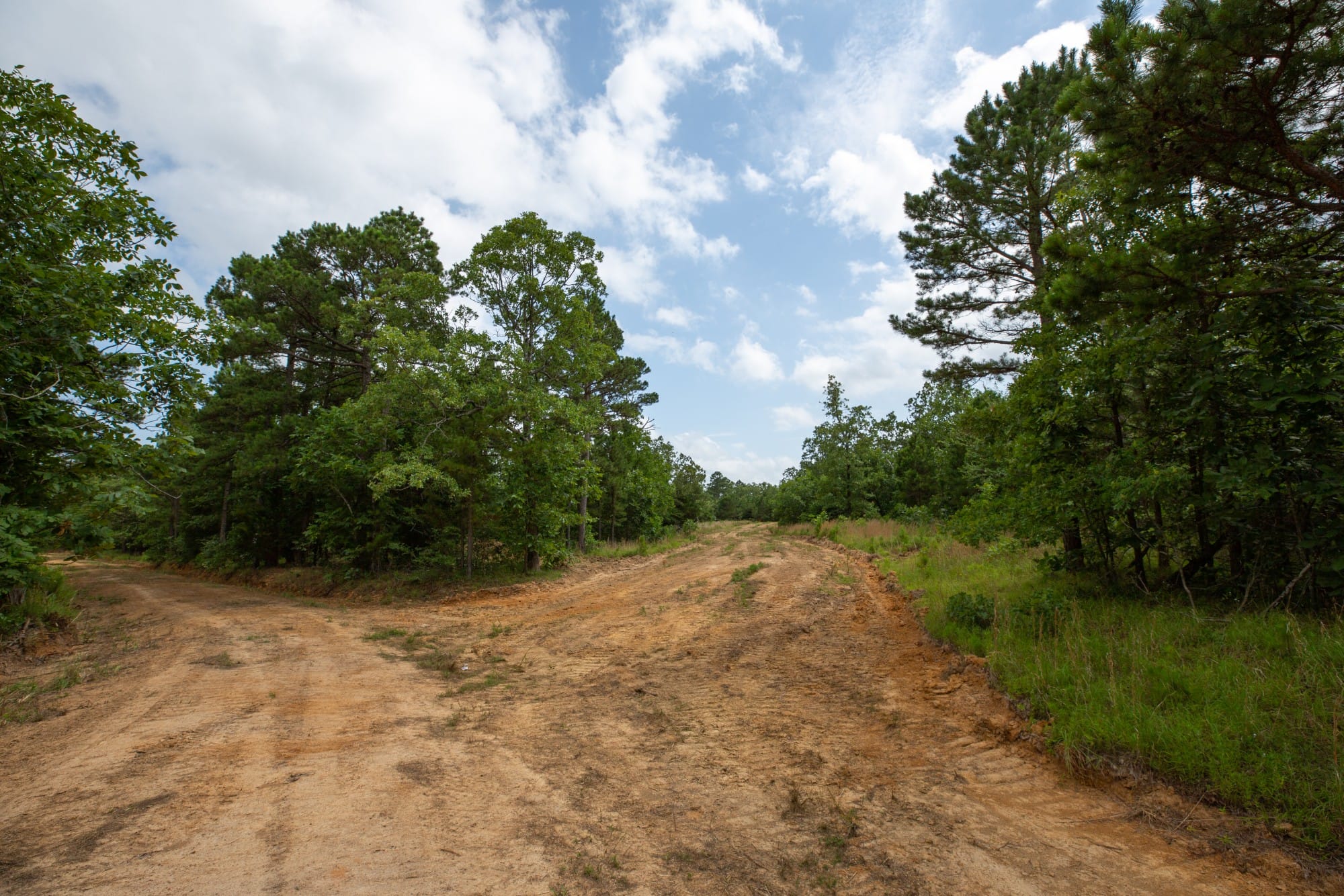 Eagle’s Nest Tract 46 photo 6