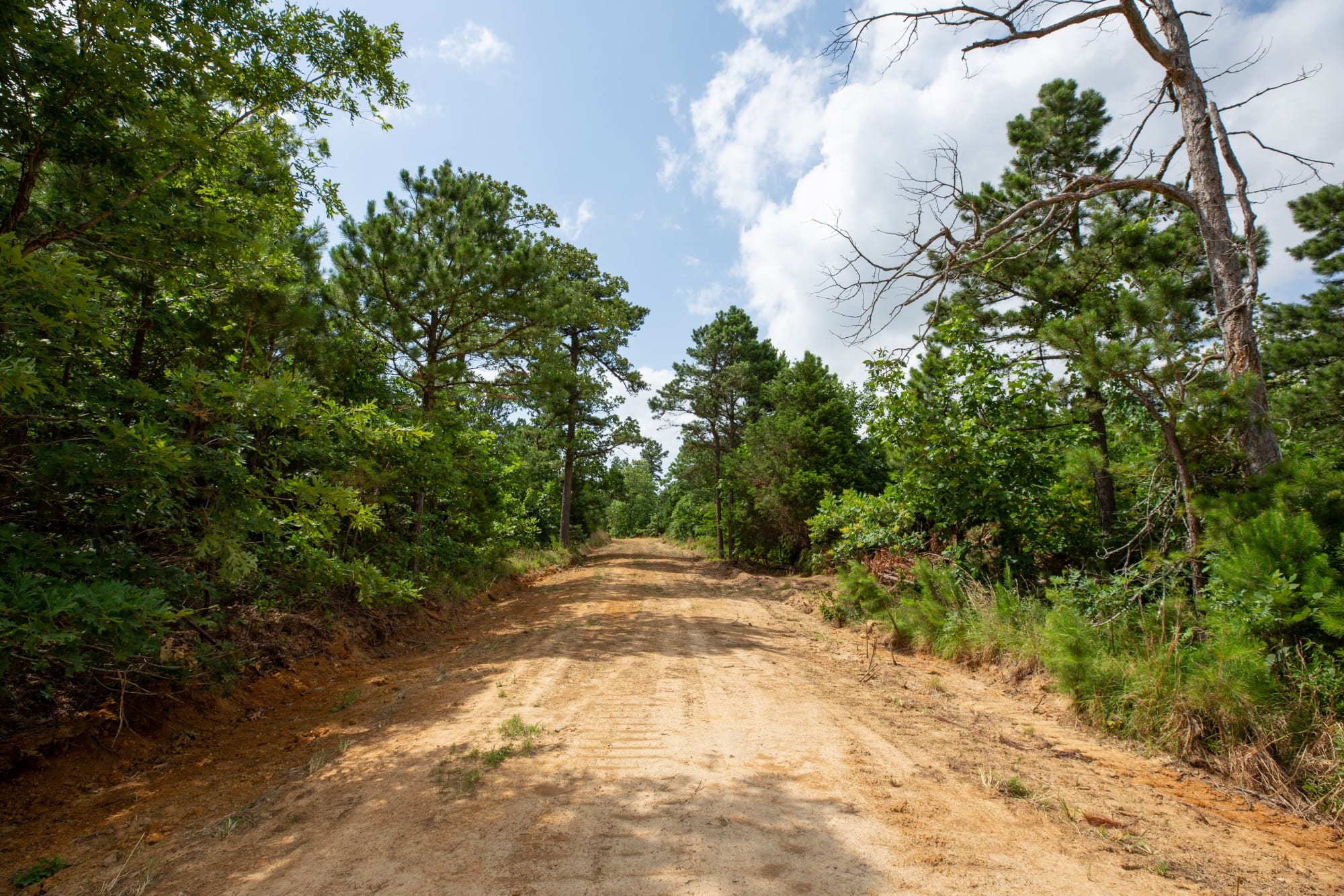 Eagle’s Nest Tract 46 photo 1