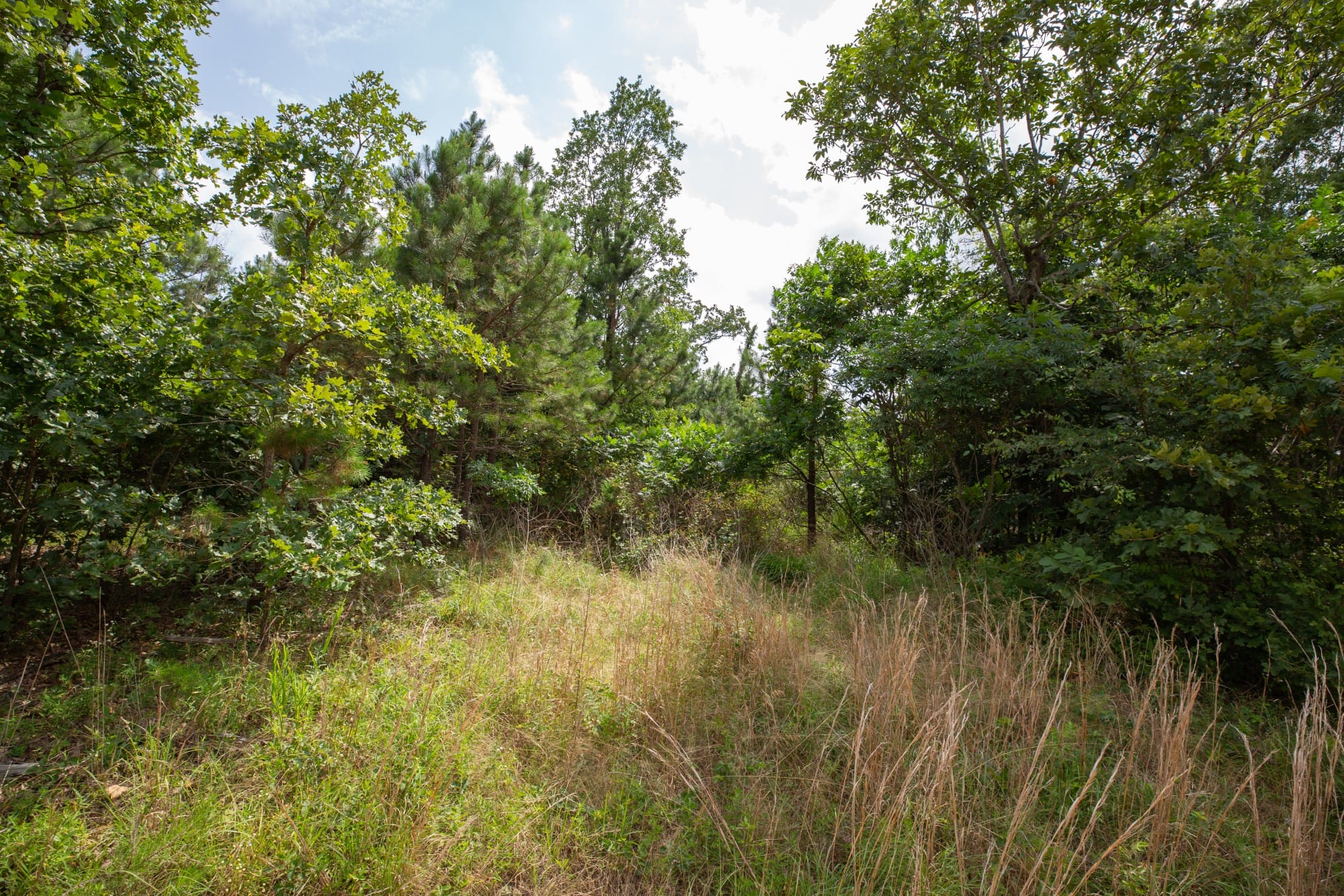 Eagle’s Nest Tract 46 photo 7