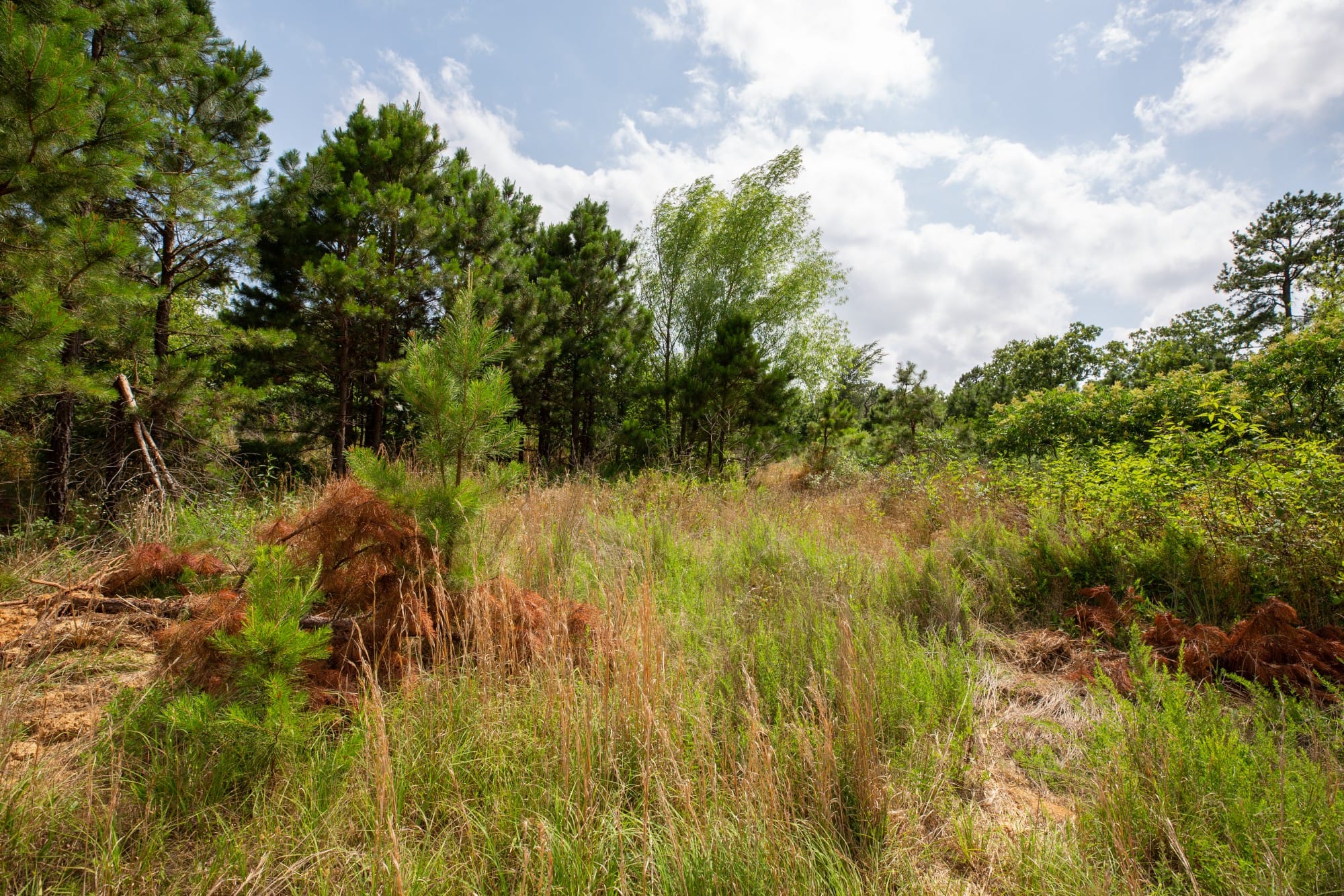 Eagle’s Nest Tract 46 photo 9