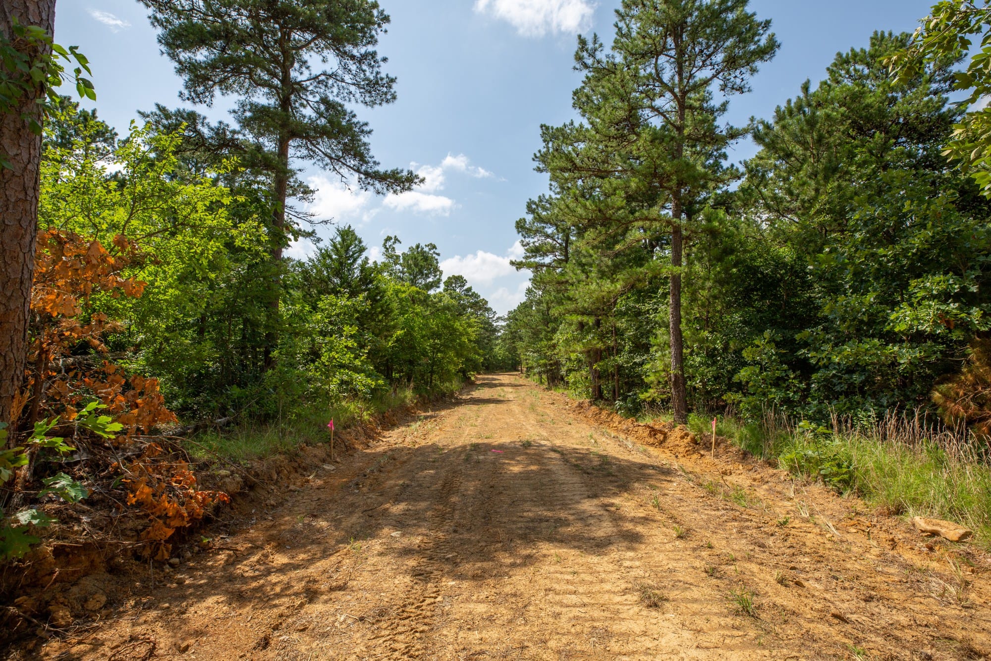 Eagle’s Nest Tract 46 photo 12