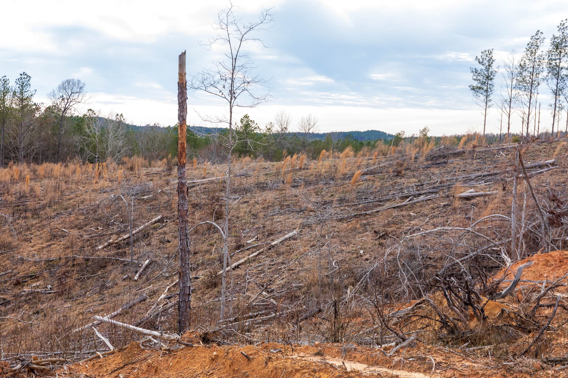 Fairview Hills Tract 5 photo 6
