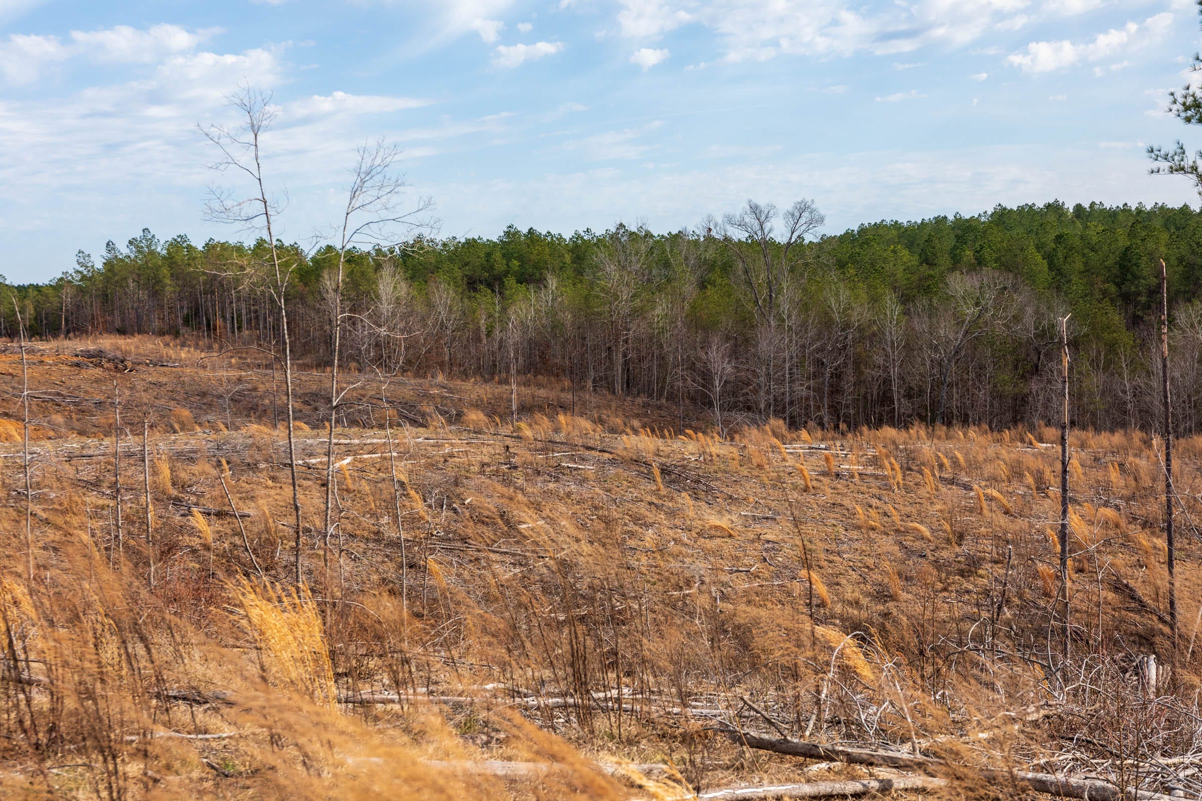 Fairview Hills Tract 5 photo 8