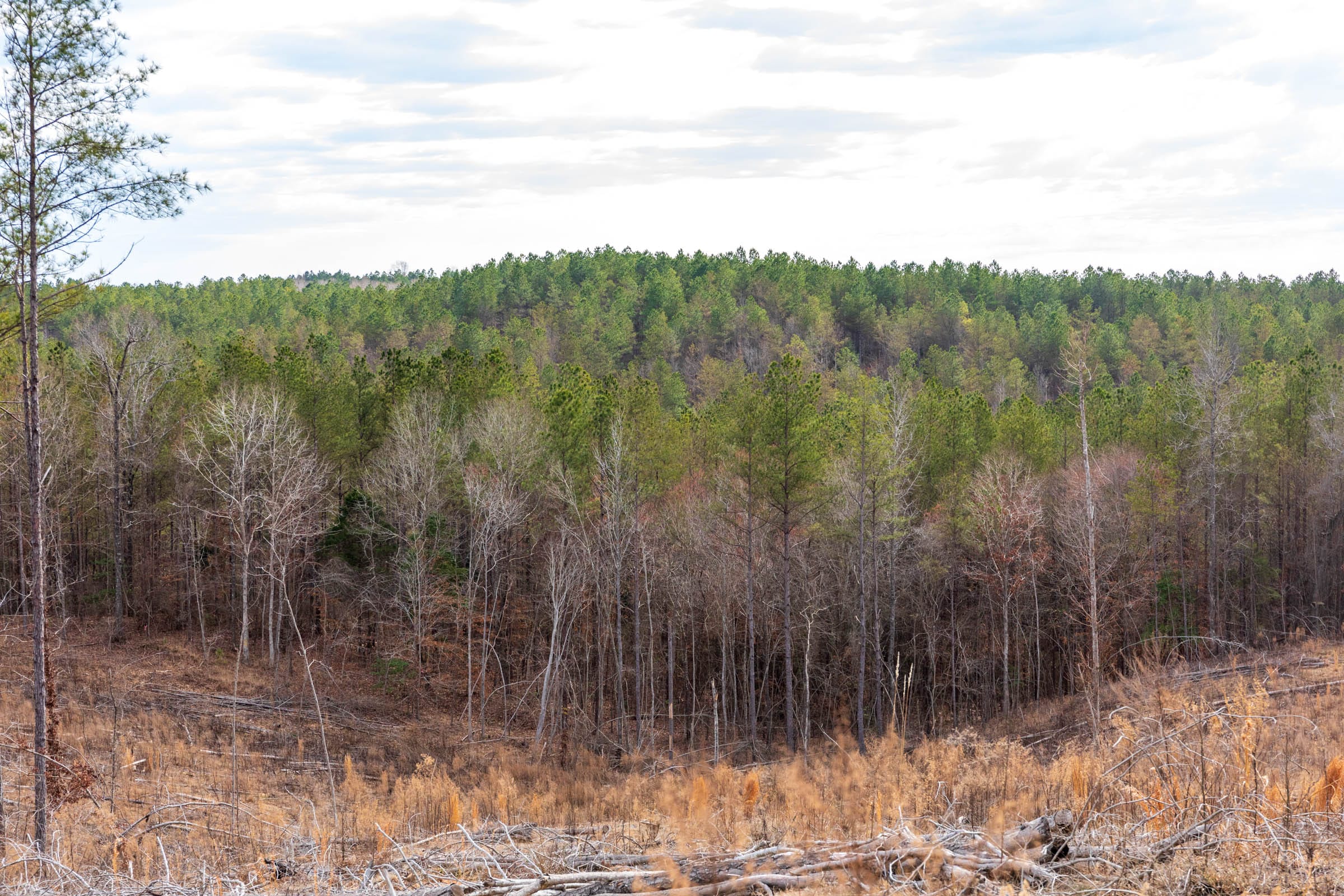Fairview Hills Tract 5 photo 9