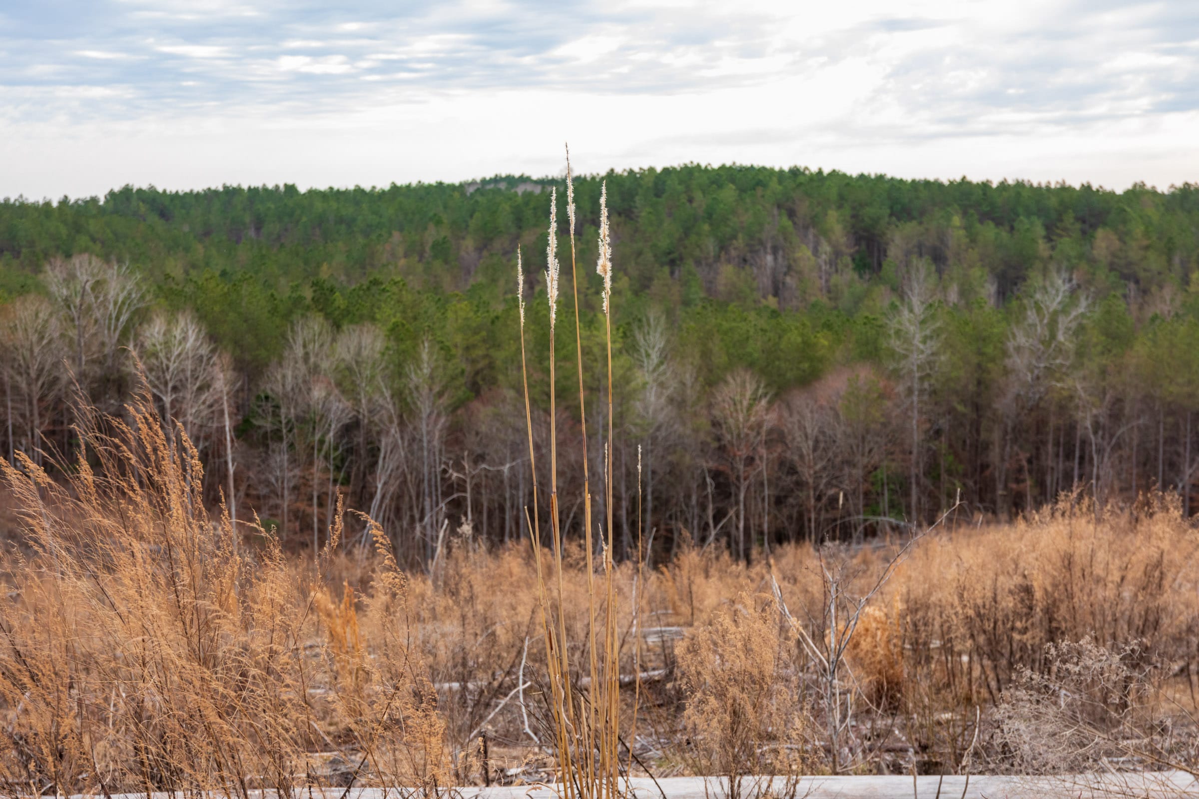 Fairview Hills Tract 5 photo 12