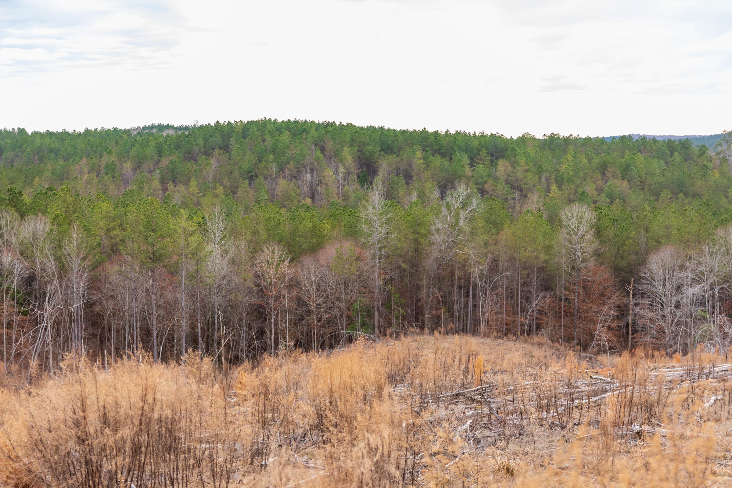 Fairview Hills Tract 5 photo 14