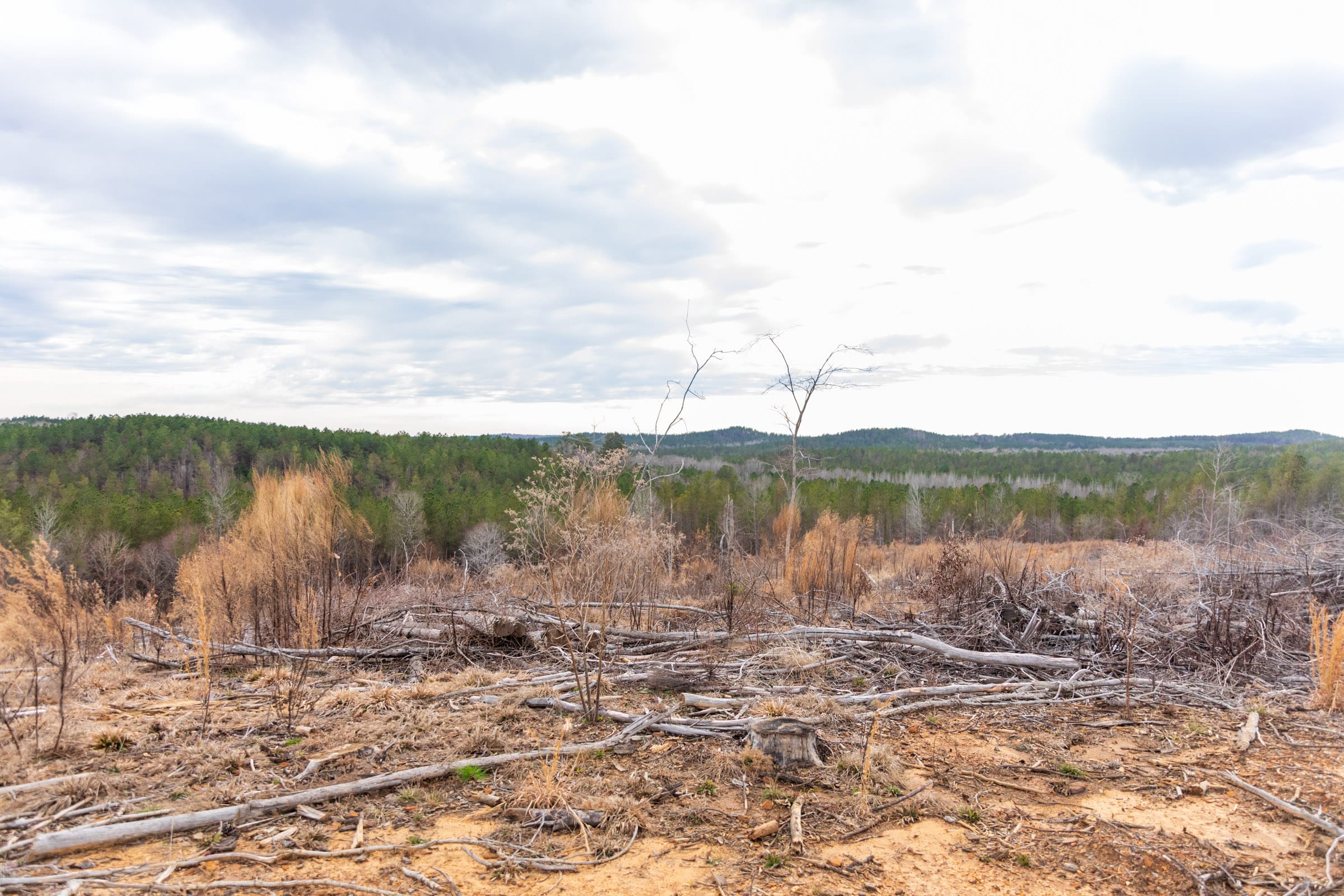 Fairview Hills Tract 5 photo 15