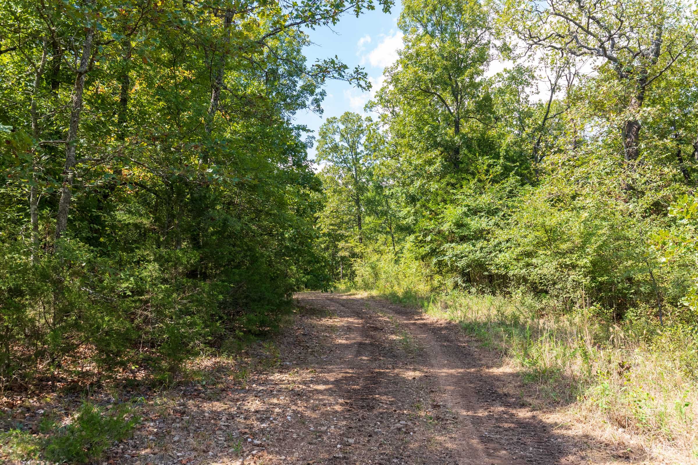 Heritage Bend Tract 41 photo 10