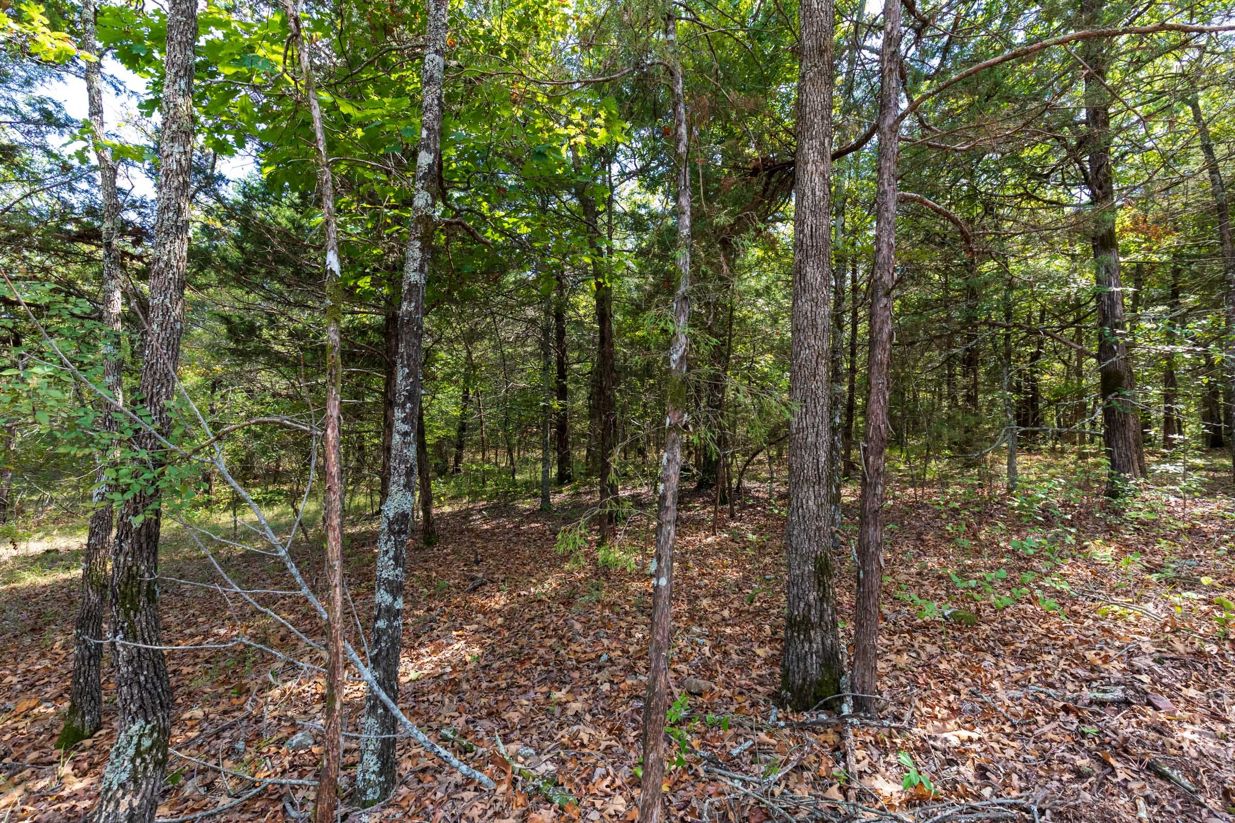 Heritage Bend Tract 41 photo 7