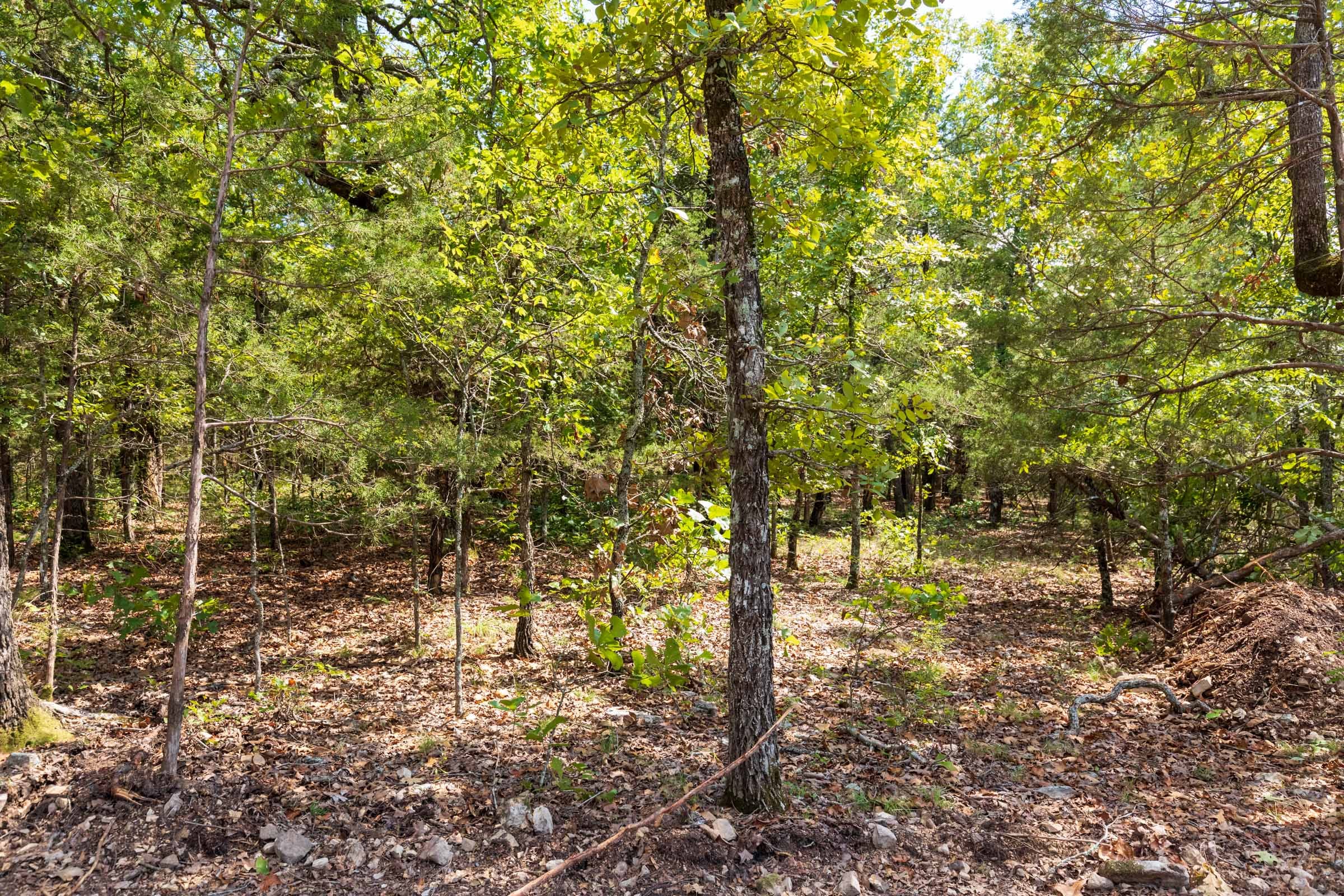 Heritage Bend Tract 41 photo 4