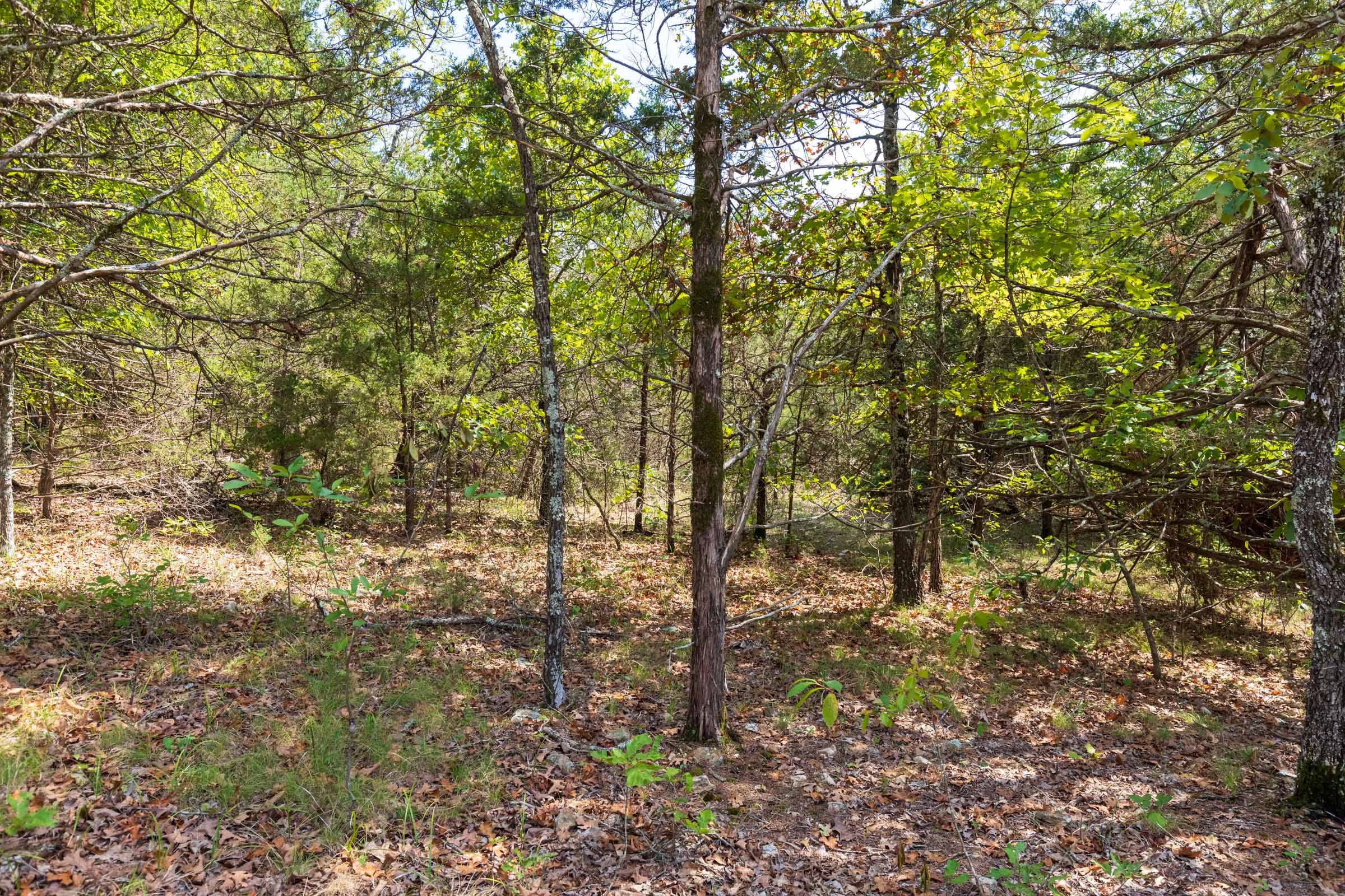 Heritage Bend Tract 41 photo 8