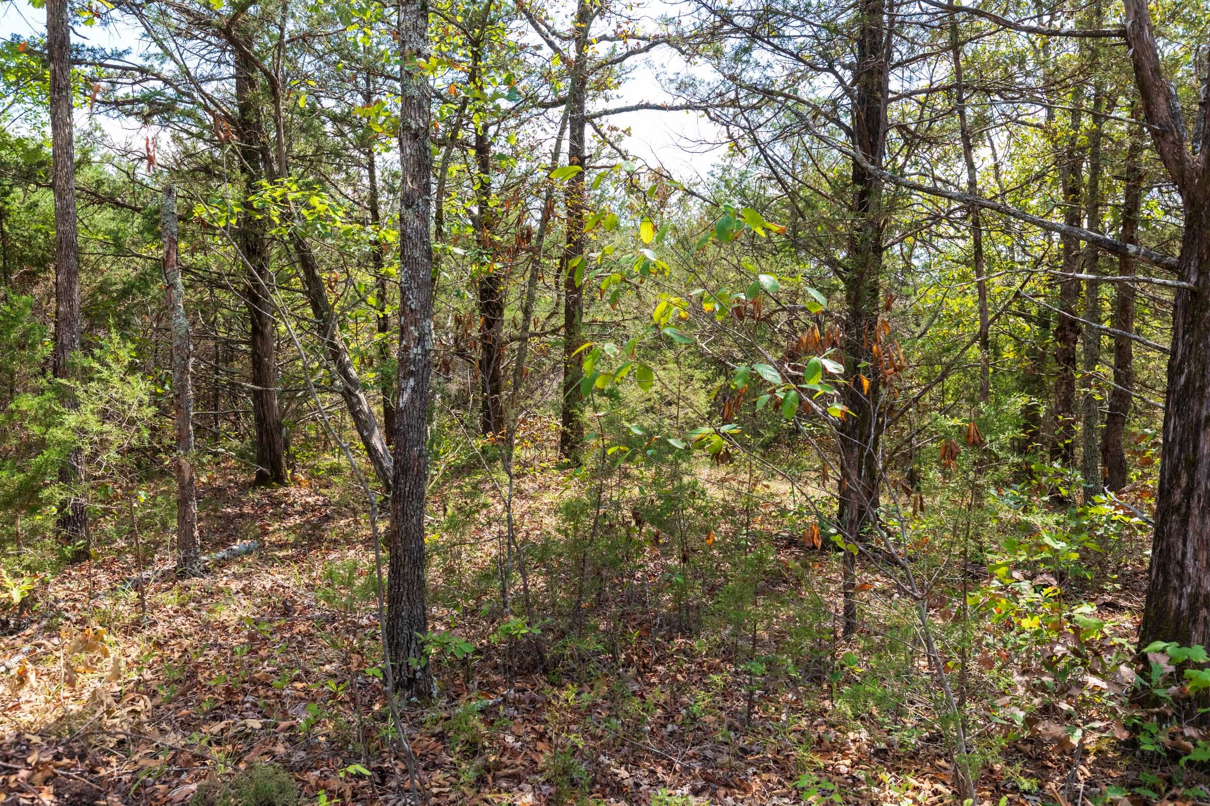 Heritage Bend Tract 41 photo 11