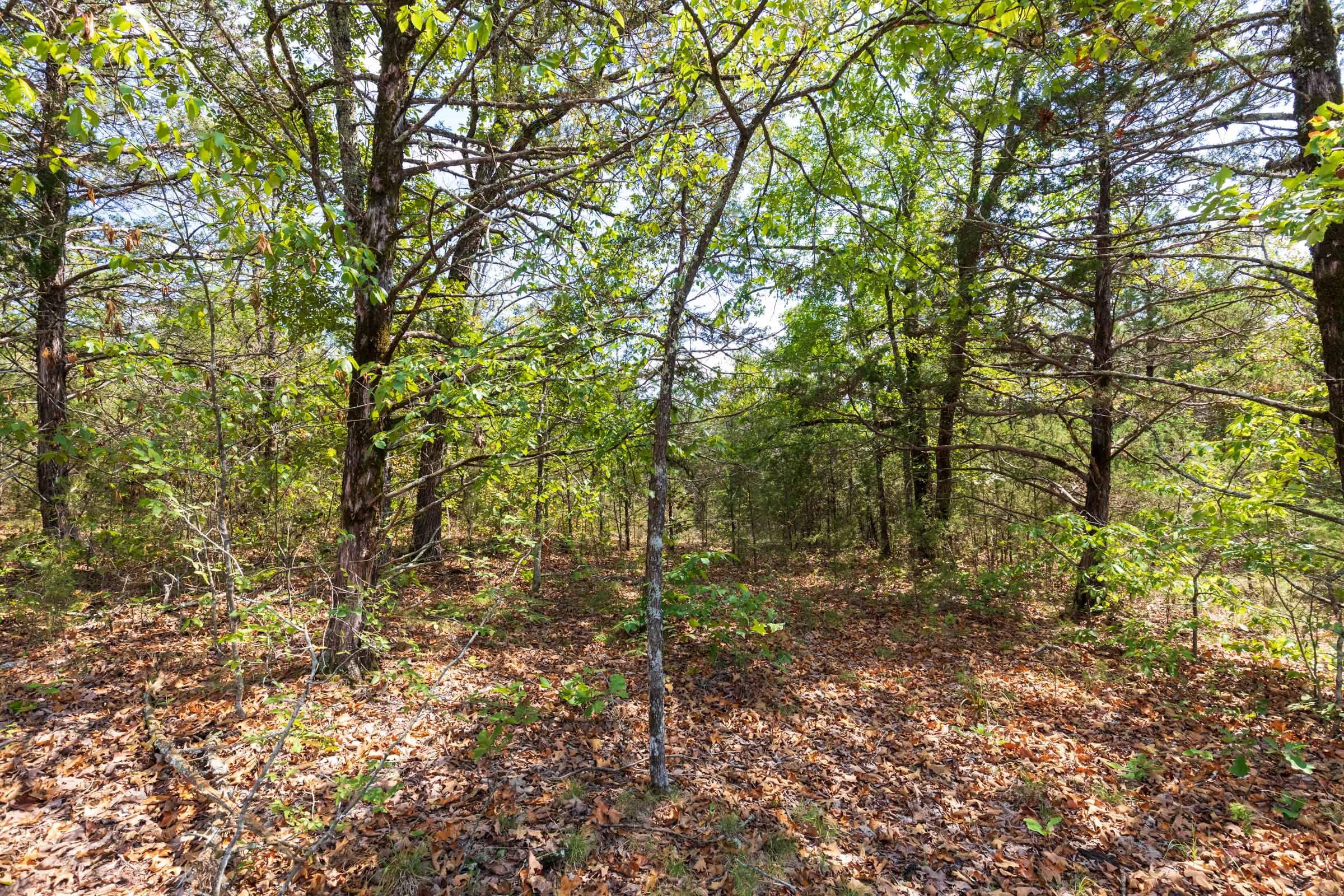 Heritage Bend Tract 41 photo 6