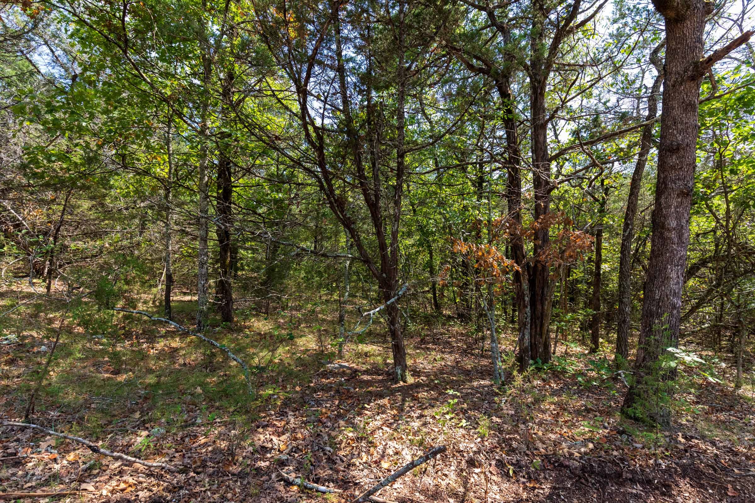 Heritage Bend Tract 41 photo 9