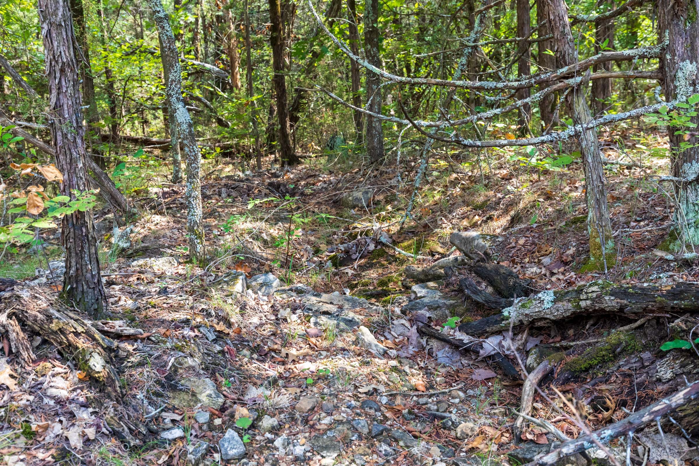 Heritage Bend Tract 41 photo 2