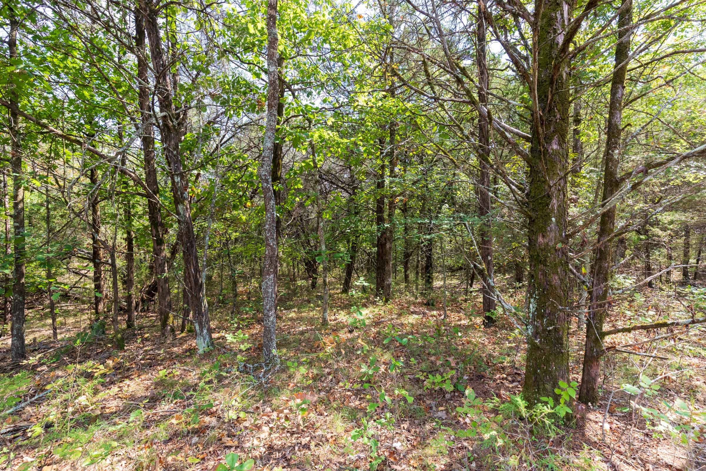 Heritage Bend Tract 41 photo 12
