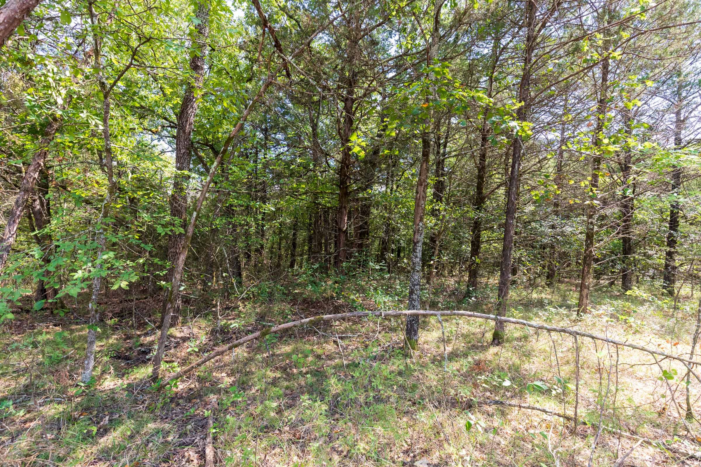 Heritage Bend Tract 41 photo 14