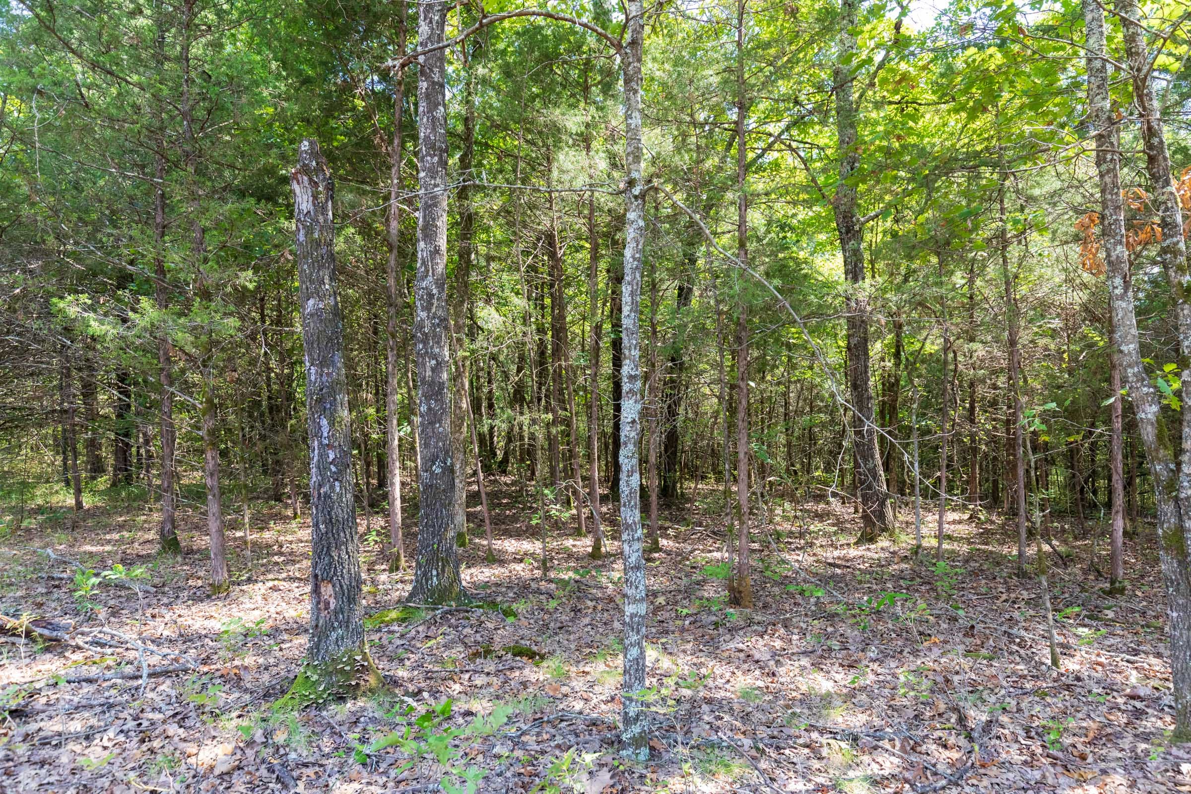 Heritage Bend Tract 41 photo 13