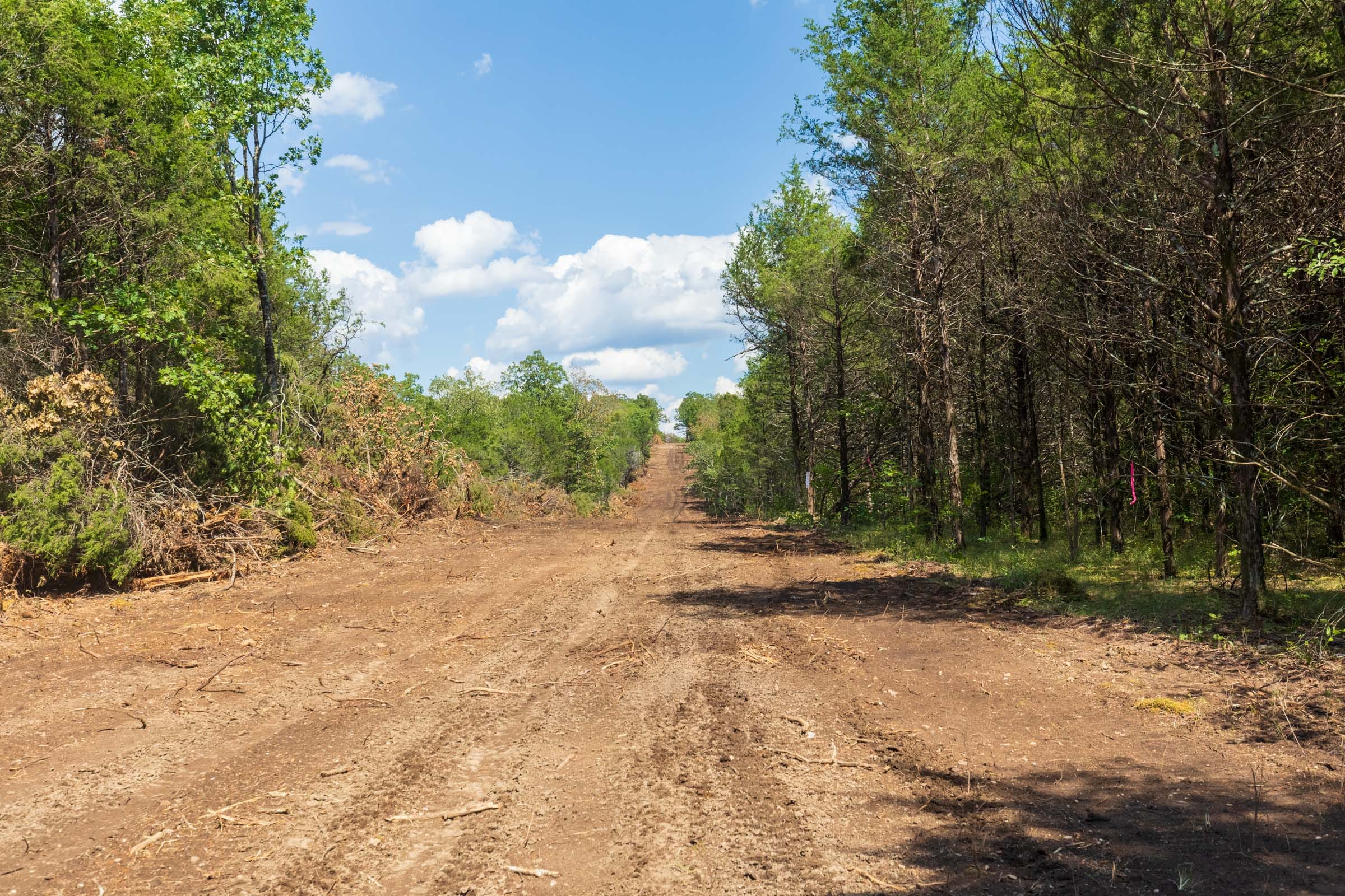 Heritage Bend Tract 41 photo 5