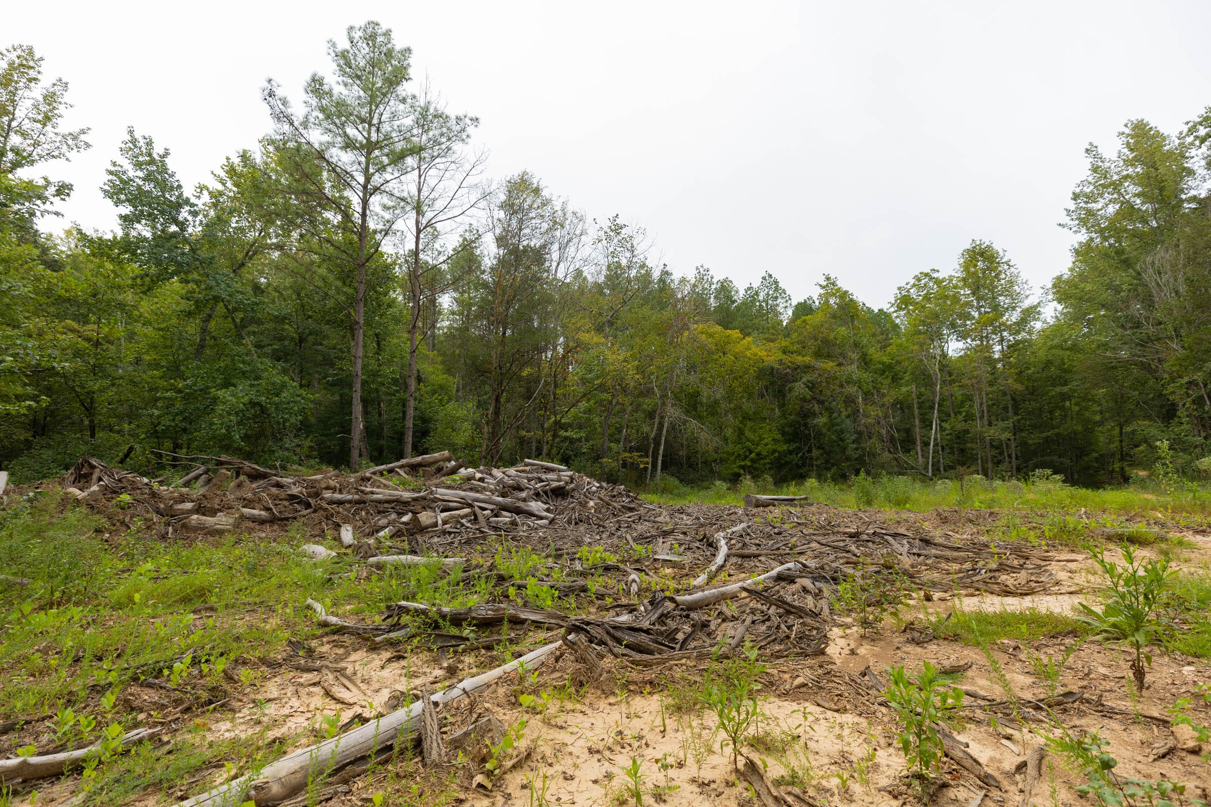 Big White Oak Tract 143 photo 14