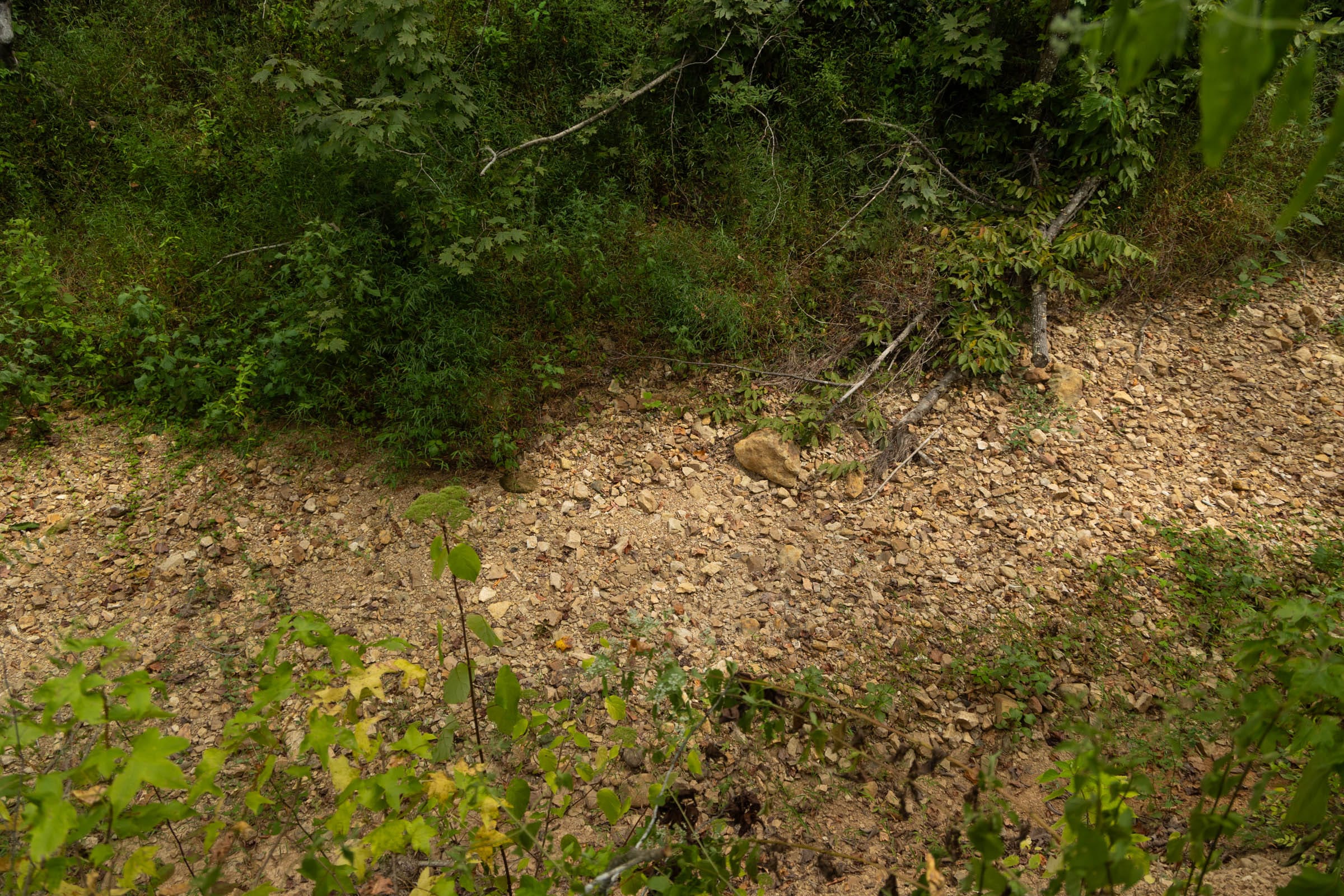 Big White Oak Tract 143 photo 13
