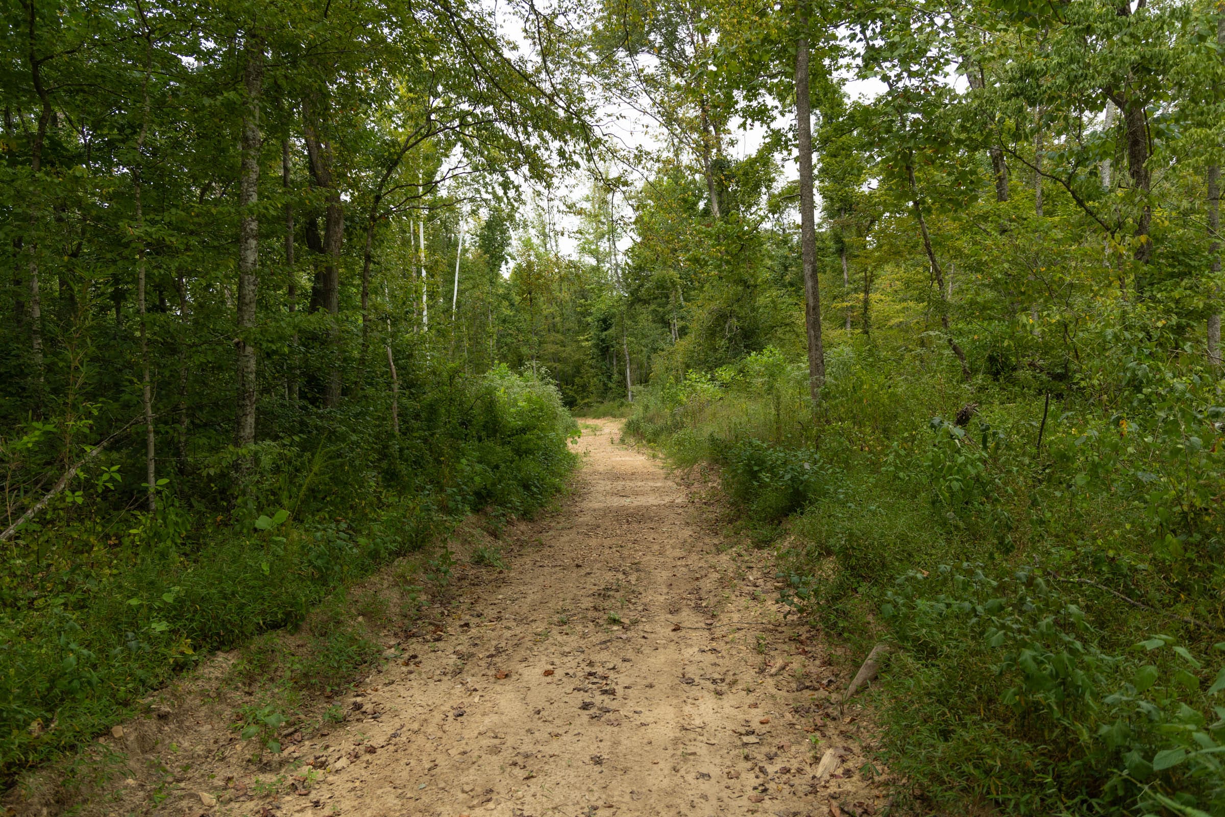 Big White Oak Tract 143 photo 10