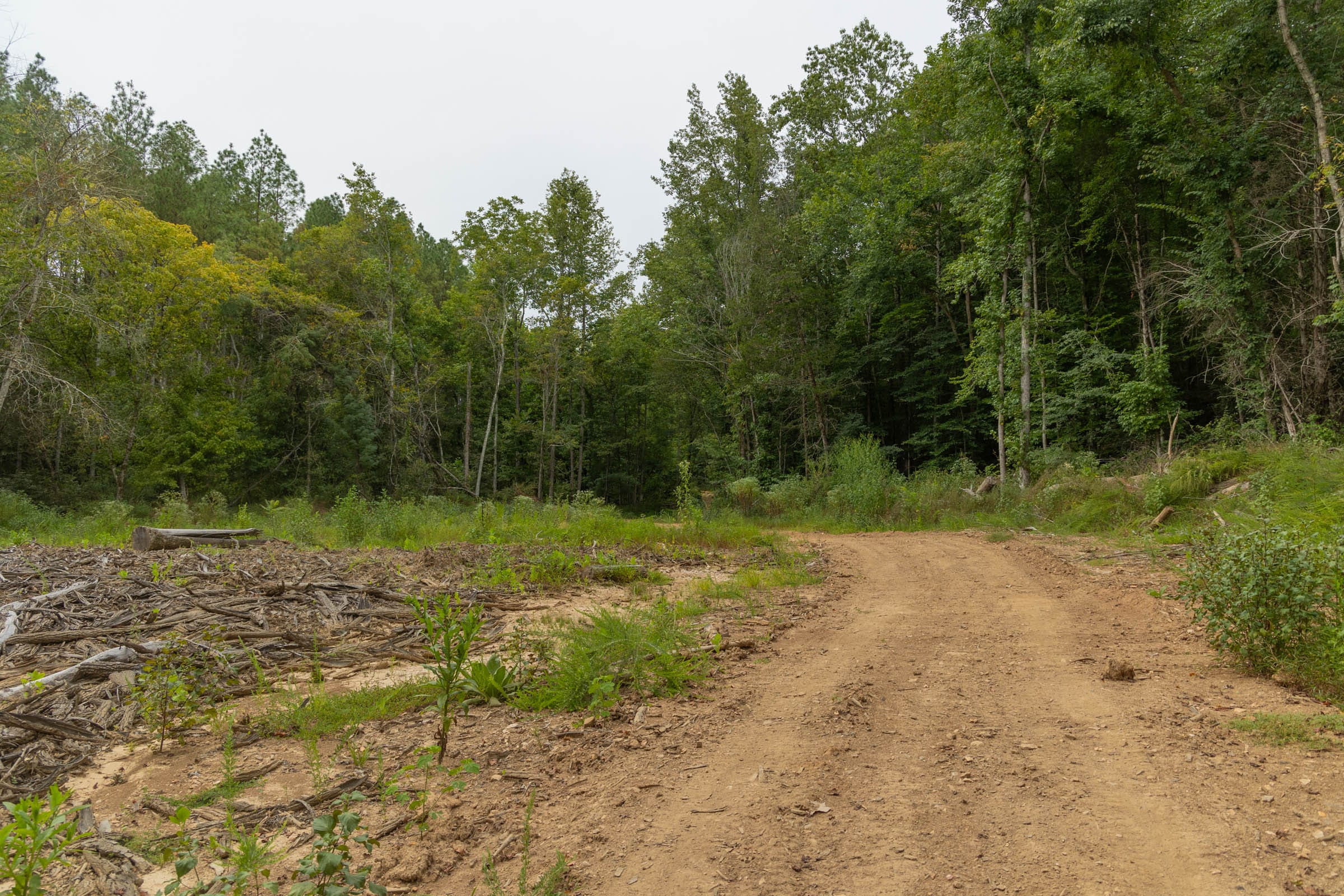 Big White Oak Tract 143 photo 1