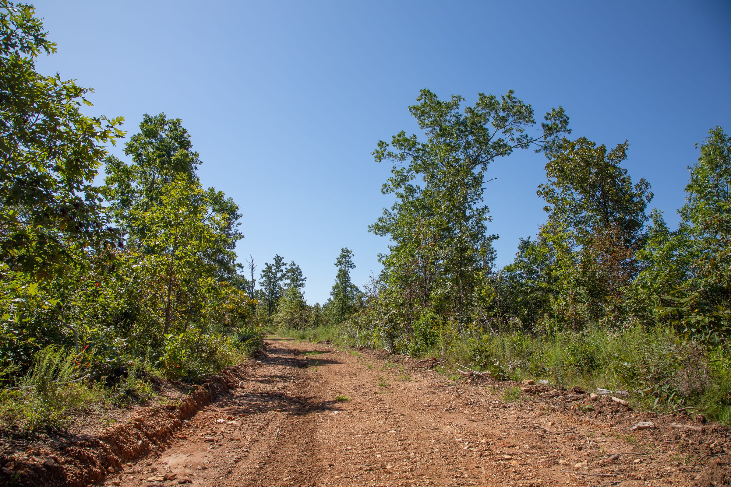 Borgmann’s Hollow Phase II Tract 71 photo 2