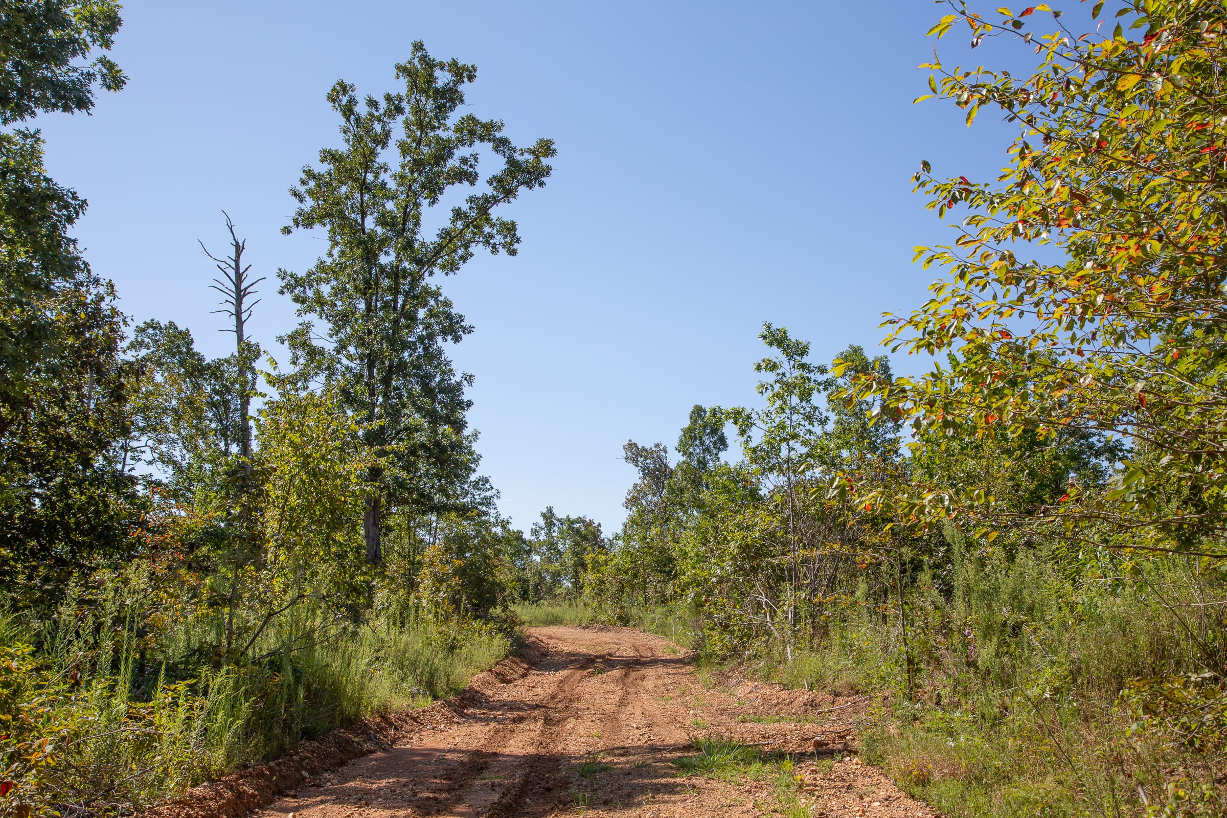 Borgmann’s Hollow Phase II Tract 71 photo 7