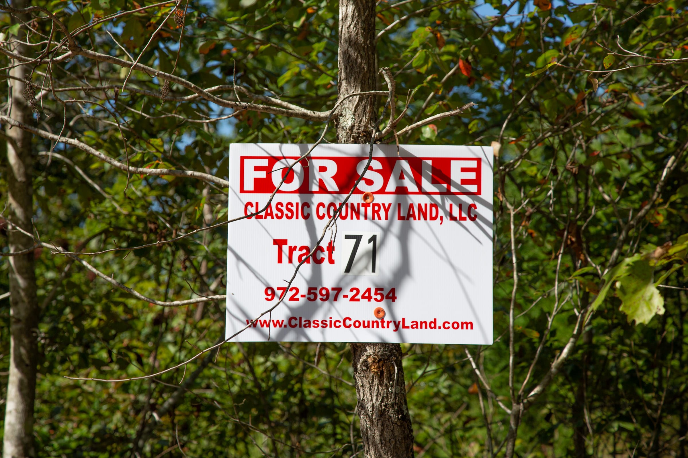 Borgmann’s Hollow Phase II Tract 71 photo 1