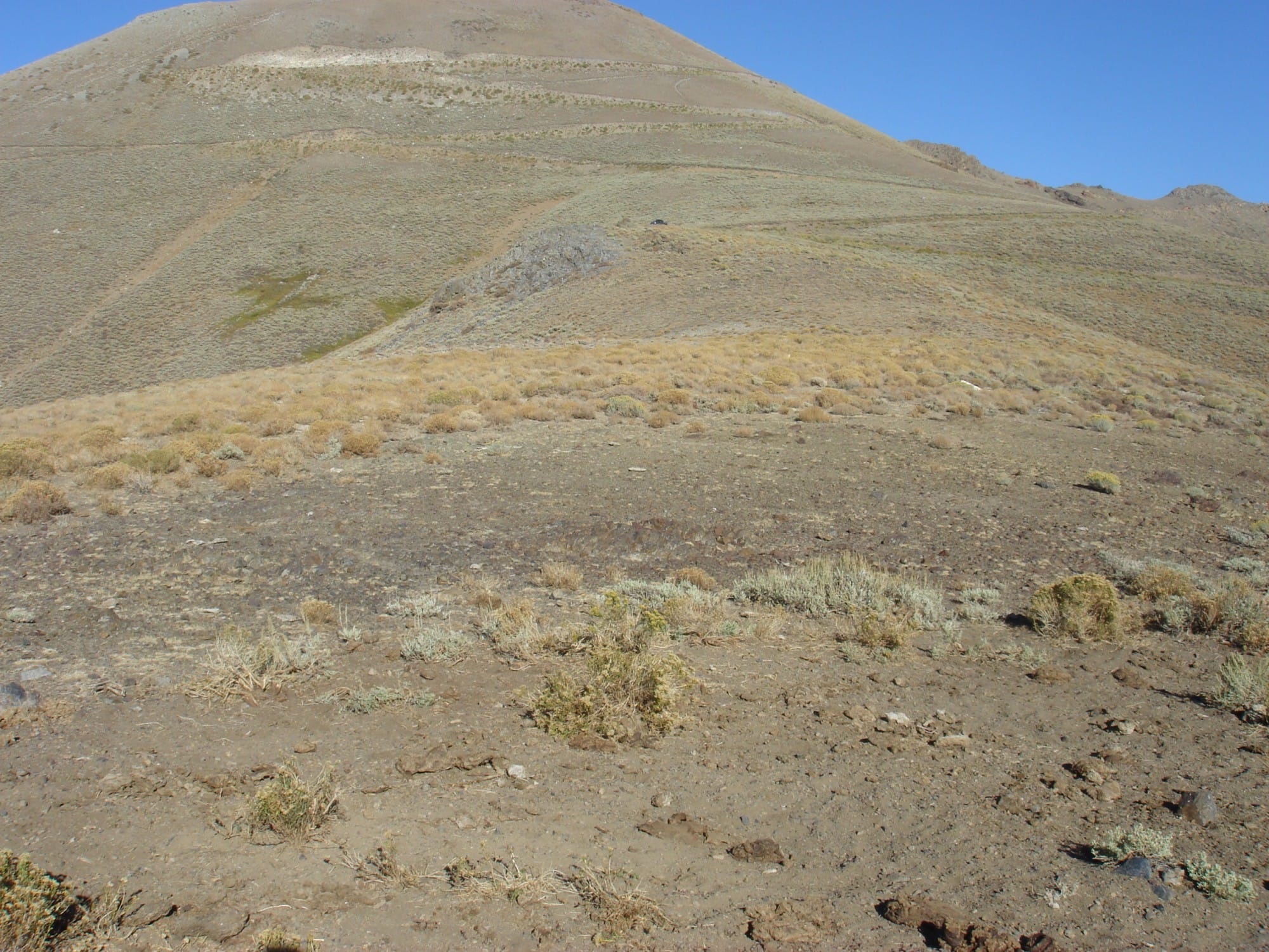 Humboldt County Tract 15 photo 4